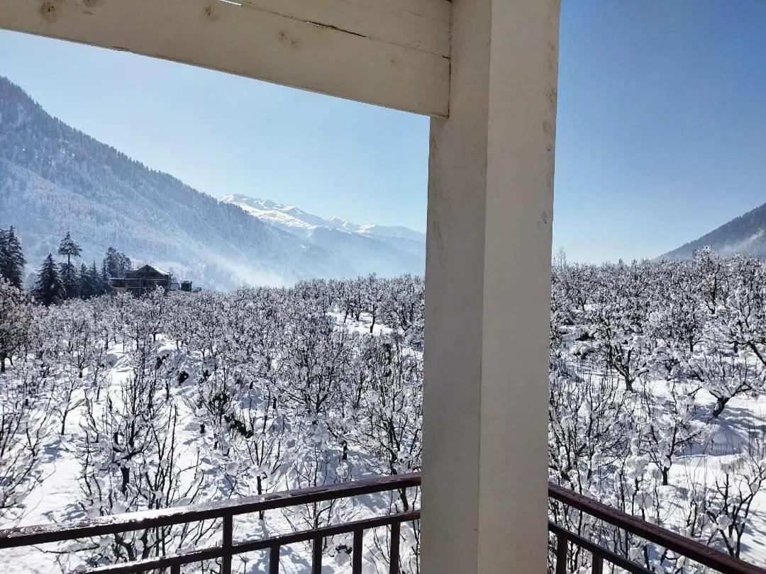 The Tranquil * Manali (Himachal Pradesh)