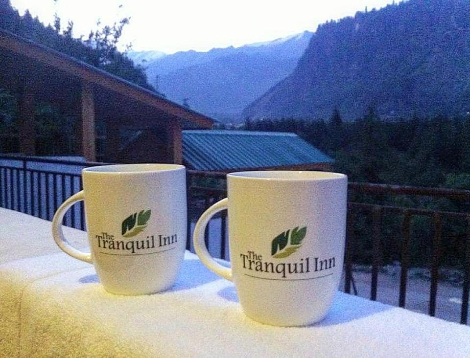 The Tranquil Manali (Himachal Pradesh)