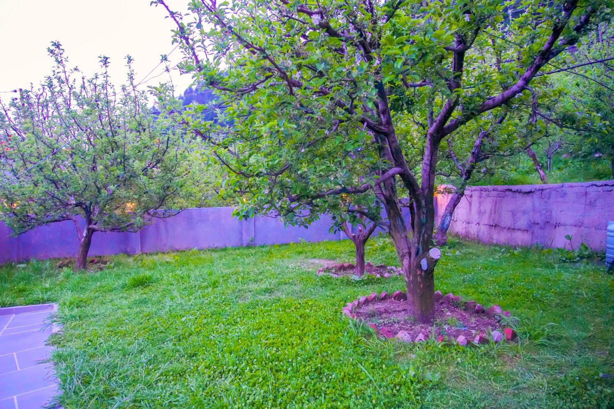 Apartment 4bhkitchen I Mountainview I Pet Friendly I Garden