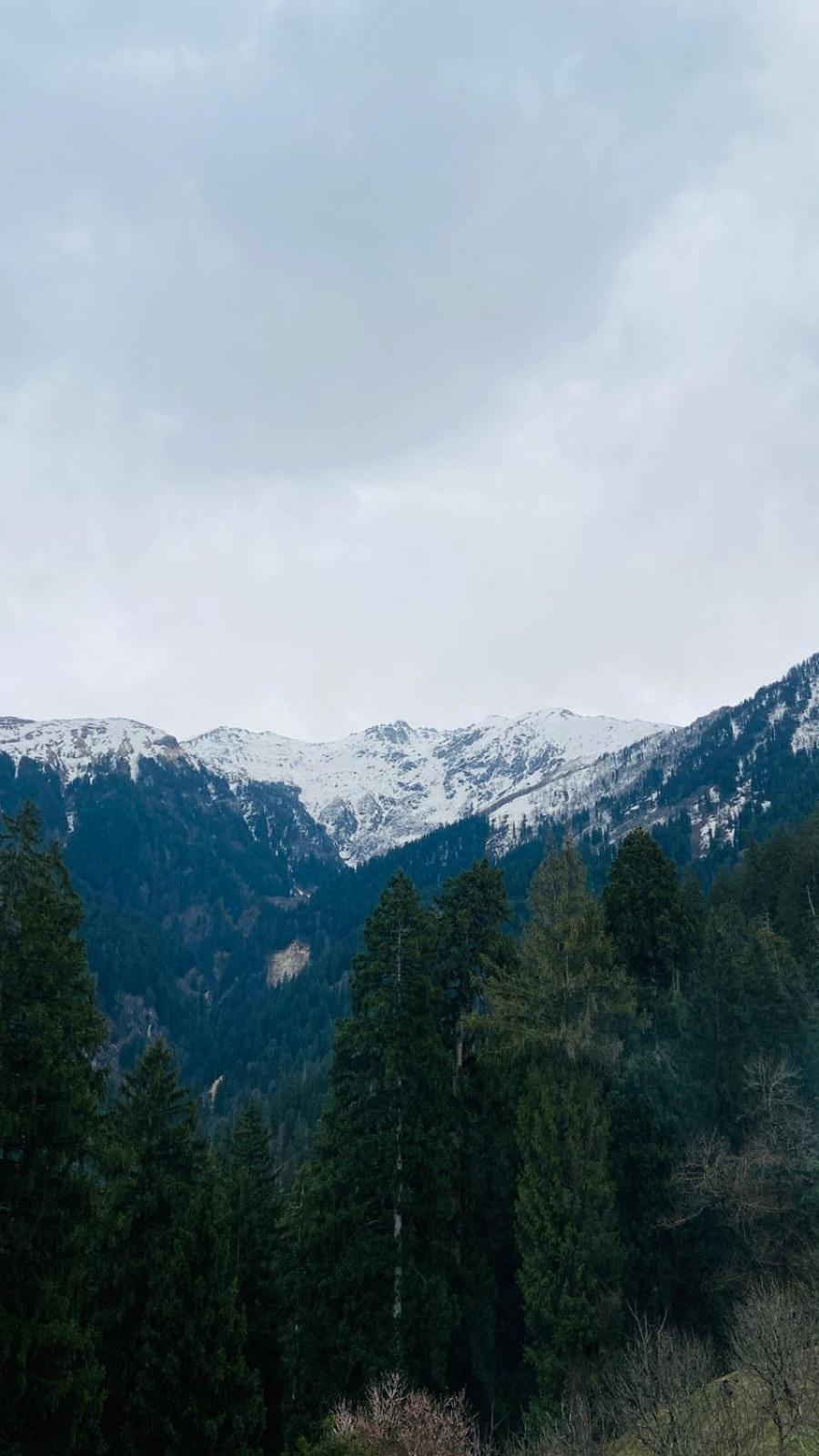 Farm stay Cove The Glass House Manali (Himachal Pradesh)