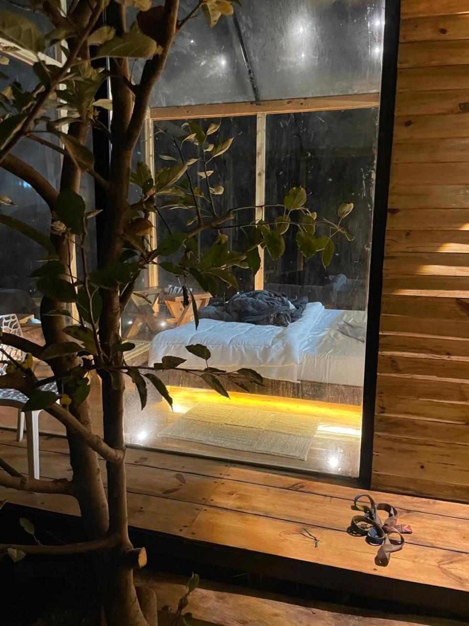 Cove The Glass House Farm stay Manali (Himachal Pradesh)