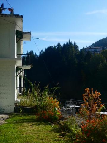 Brostel * Manali (Himachal Pradesh)