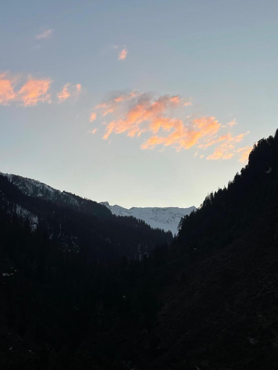 Brostel Manali (Himachal Pradesh)