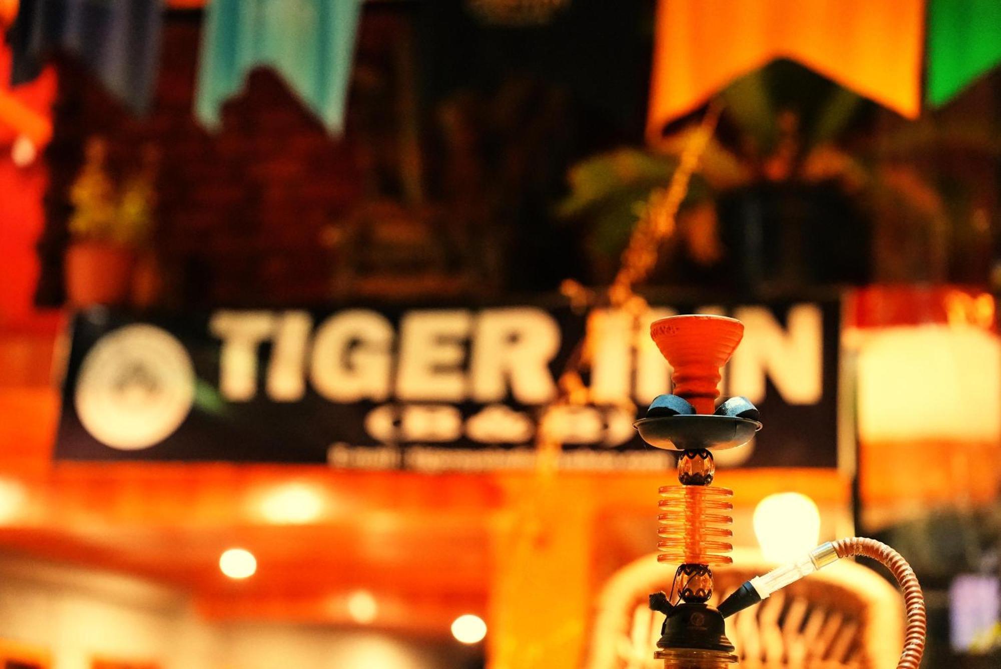 Tiger * Manali (Himachal Pradesh)