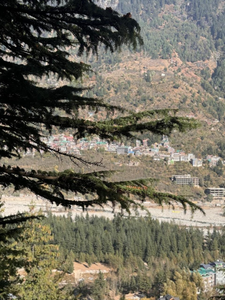 Tiger Manali (Himachal Pradesh)