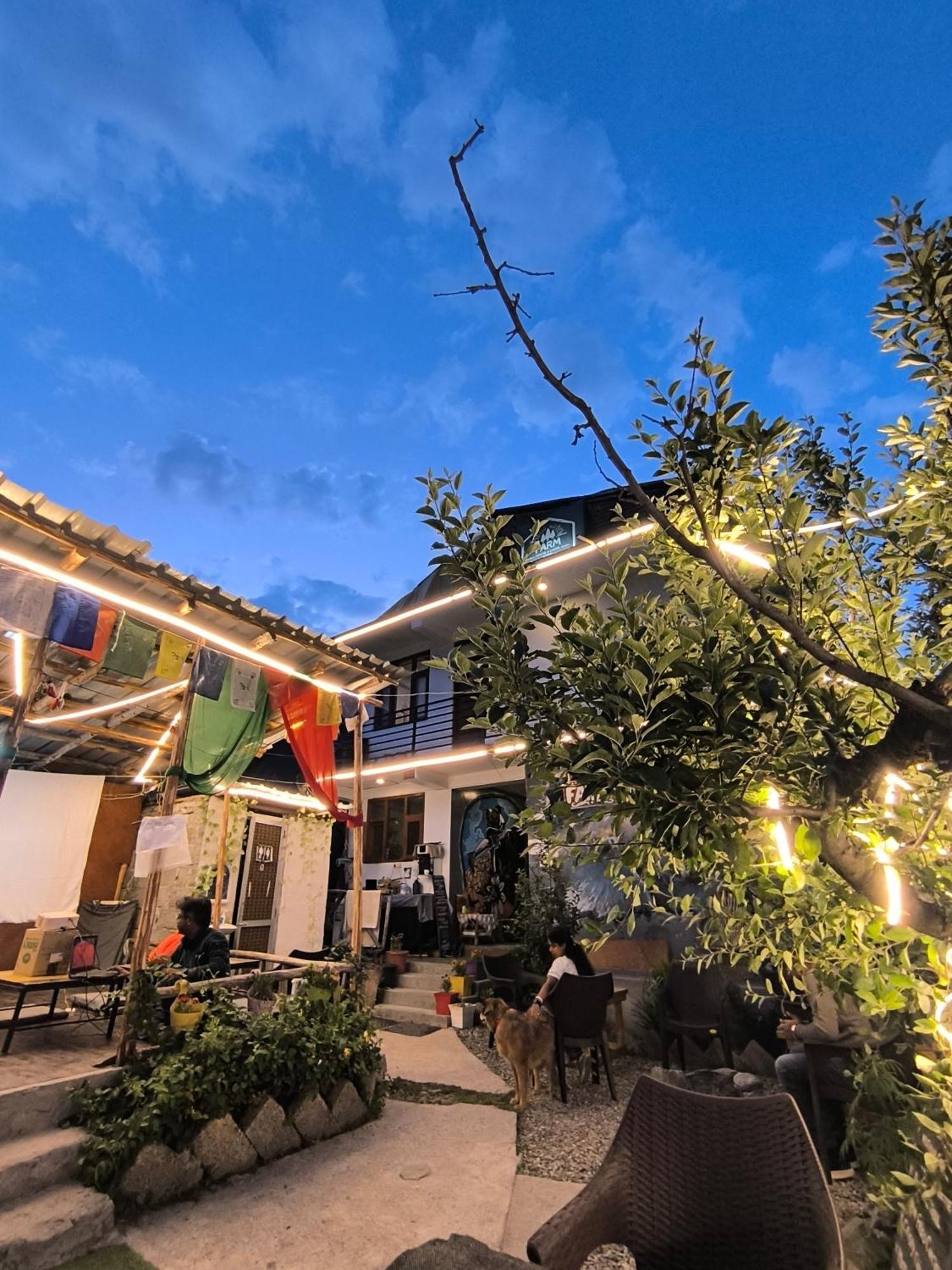 Farm & Camps Hostel Manali (Himachal Pradesh)