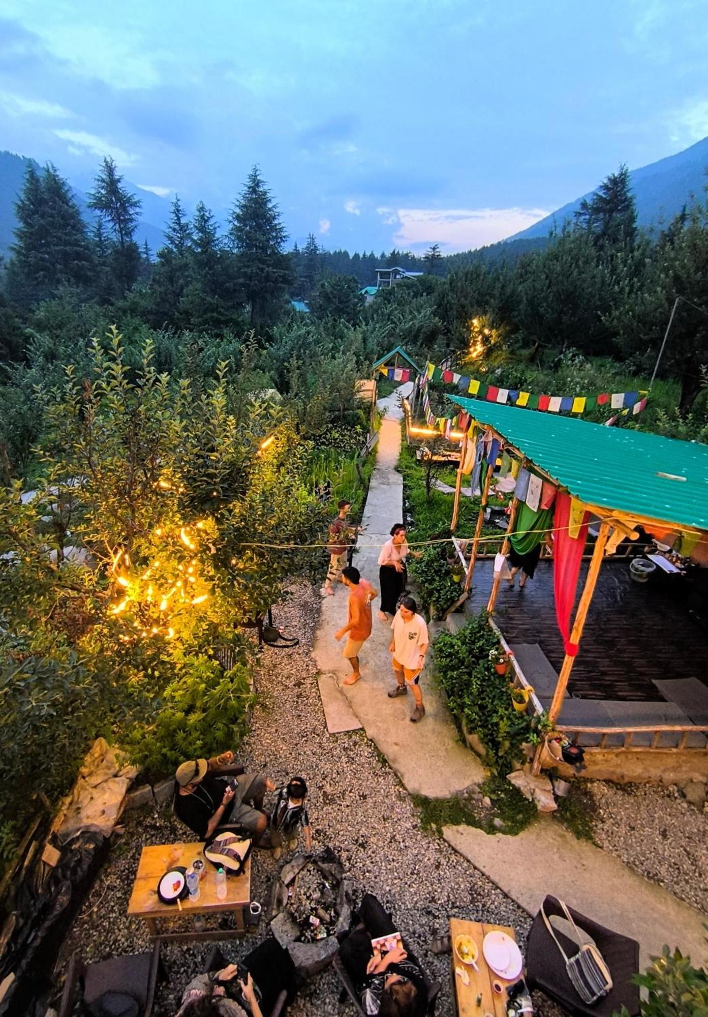 Farm & Camps Hostel Manali (Himachal Pradesh)