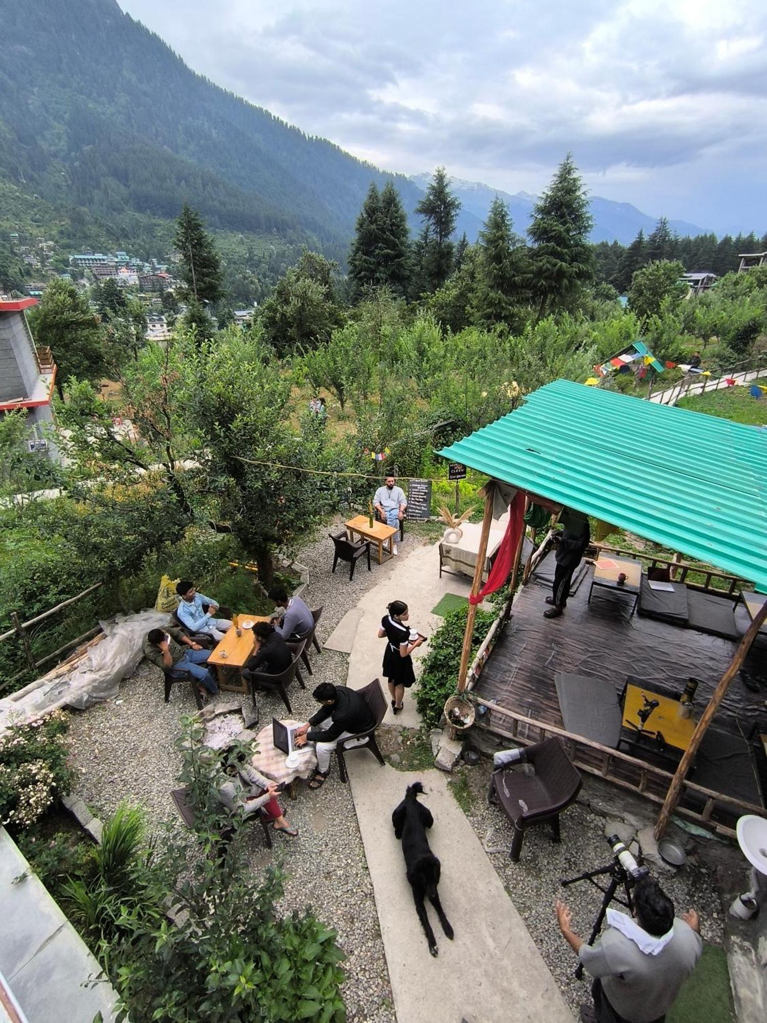 Farm & Camps