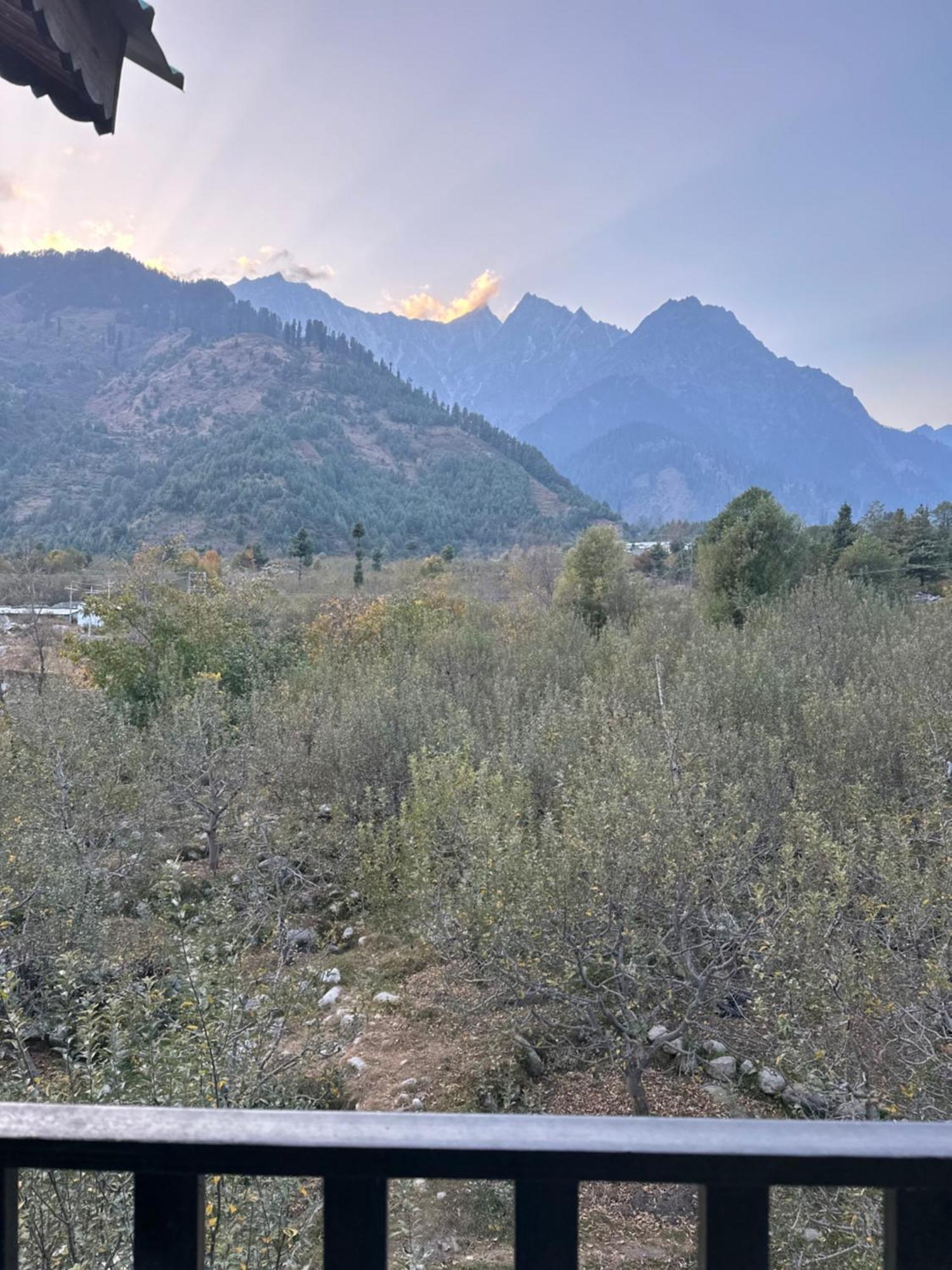 Orzu Boutique Stays Manali Homestay *