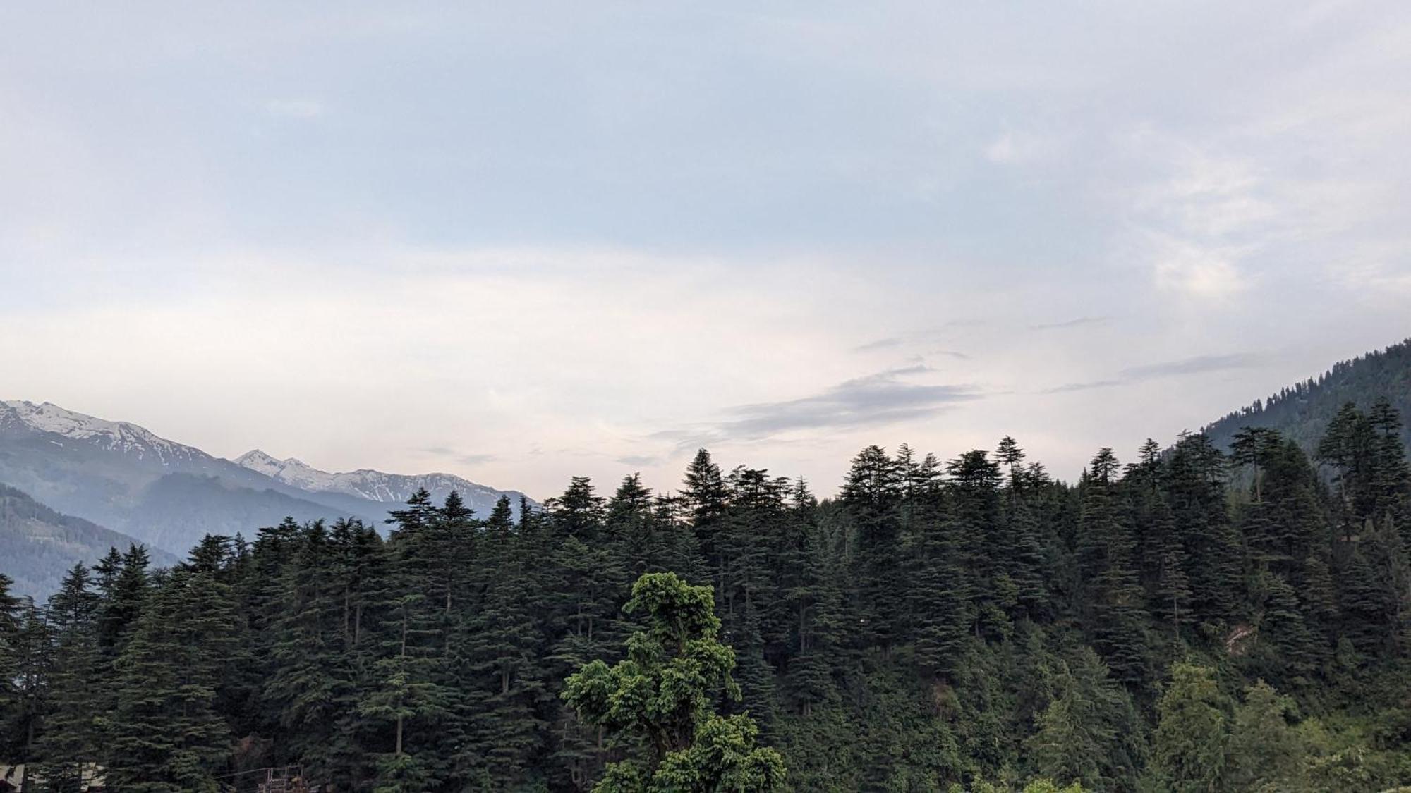 Homestay Old Monk Manali (Himachal Pradesh)