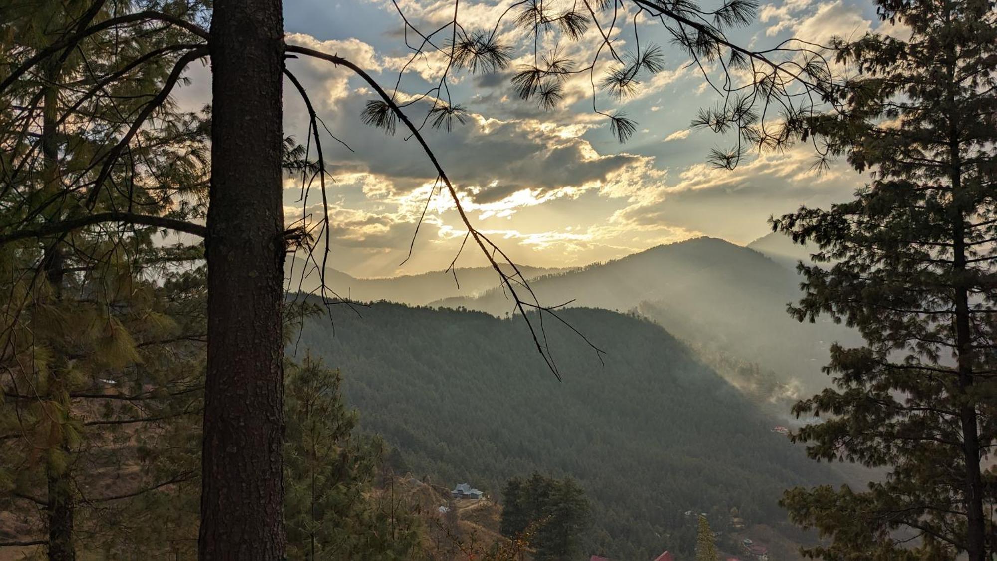 Old Monk Manali (Himachal Pradesh)