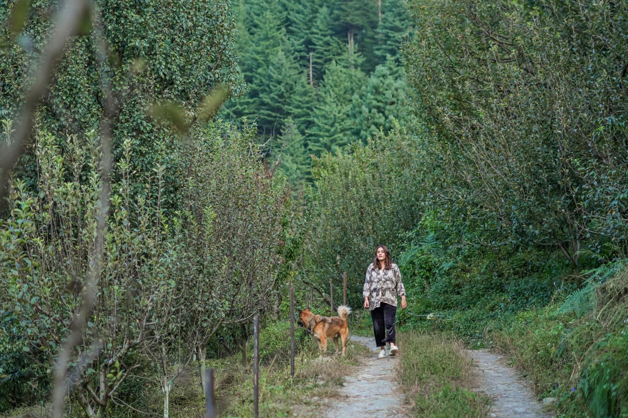 Villa Saffronstays House Of Soyl Manali (Himachal Pradesh)