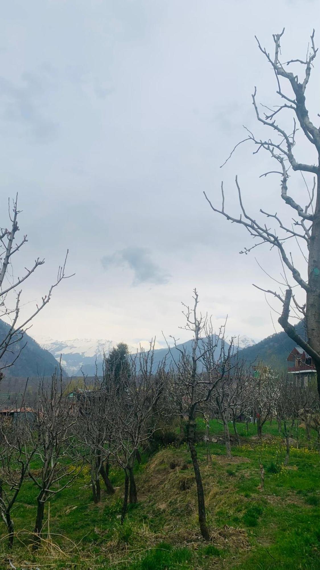 Sky Mountains Cozy * Manali (Himachal Pradesh)