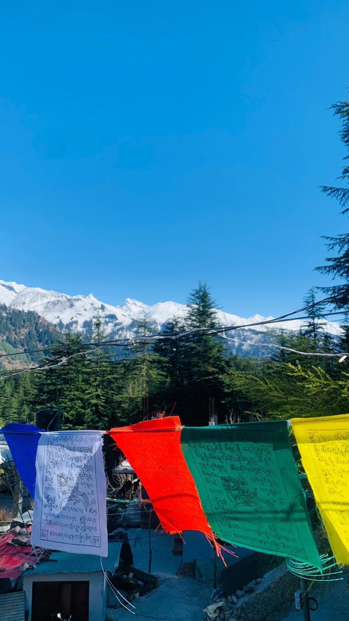 Sky Mountains Cozy * Manali (Himachal Pradesh)