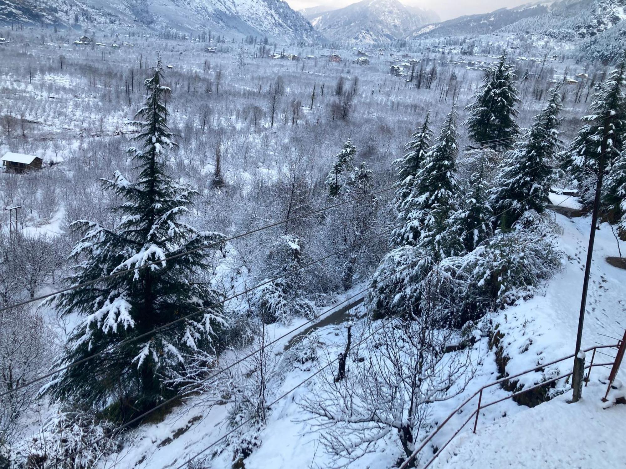 Hotel Snow Crest Residency - A Pure Veg 3*