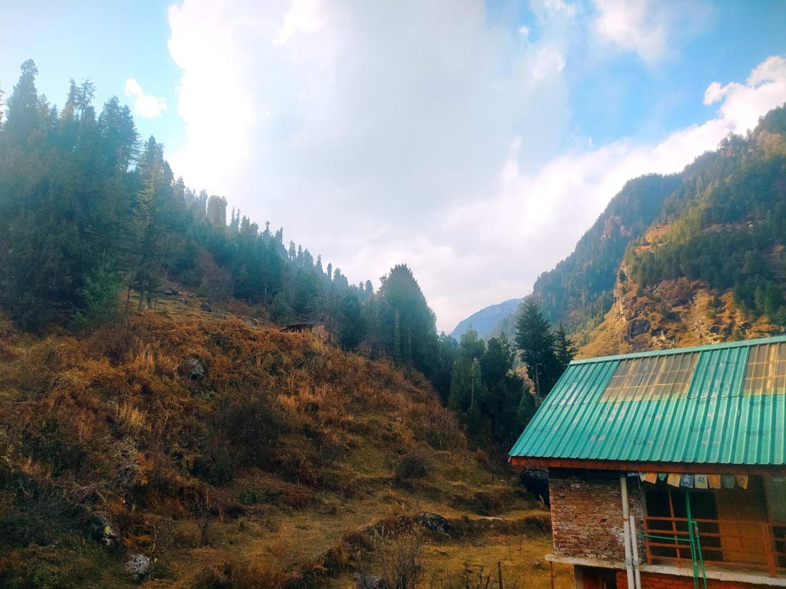 Adiyogi Homestay *