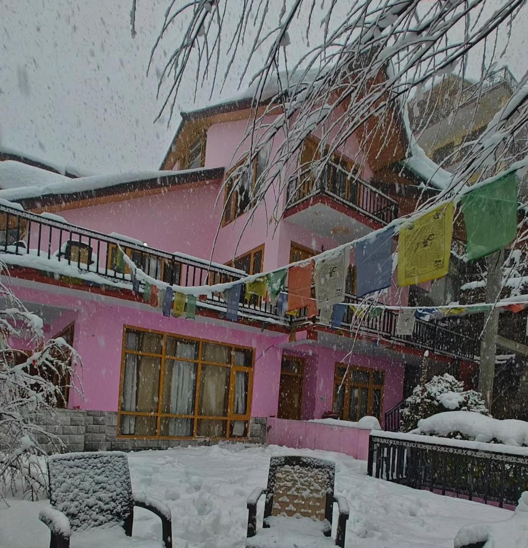 Sakinn * Manali (Himachal Pradesh)