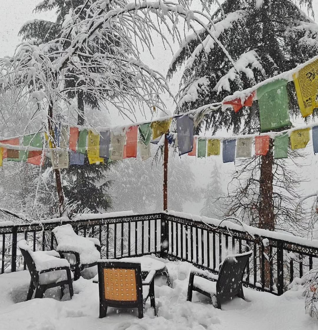 Sakinn Hotel Manali (Himachal Pradesh)