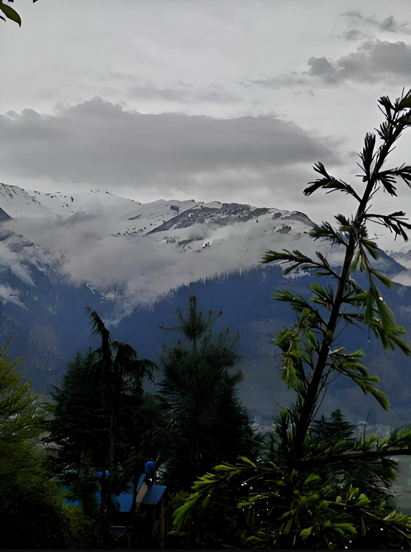 Sakinn Manali (Himachal Pradesh)