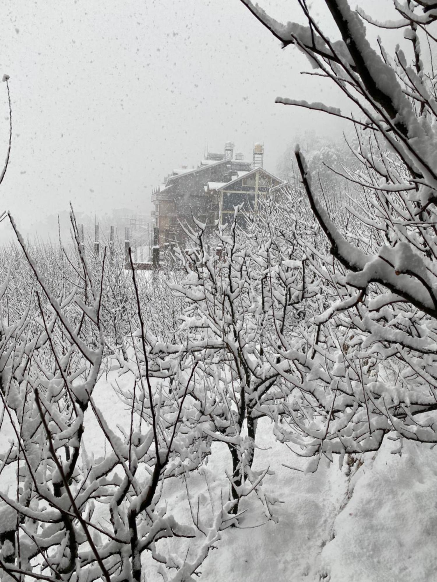 Pinaki Bed & Breakfast Manali (Himachal Pradesh)
