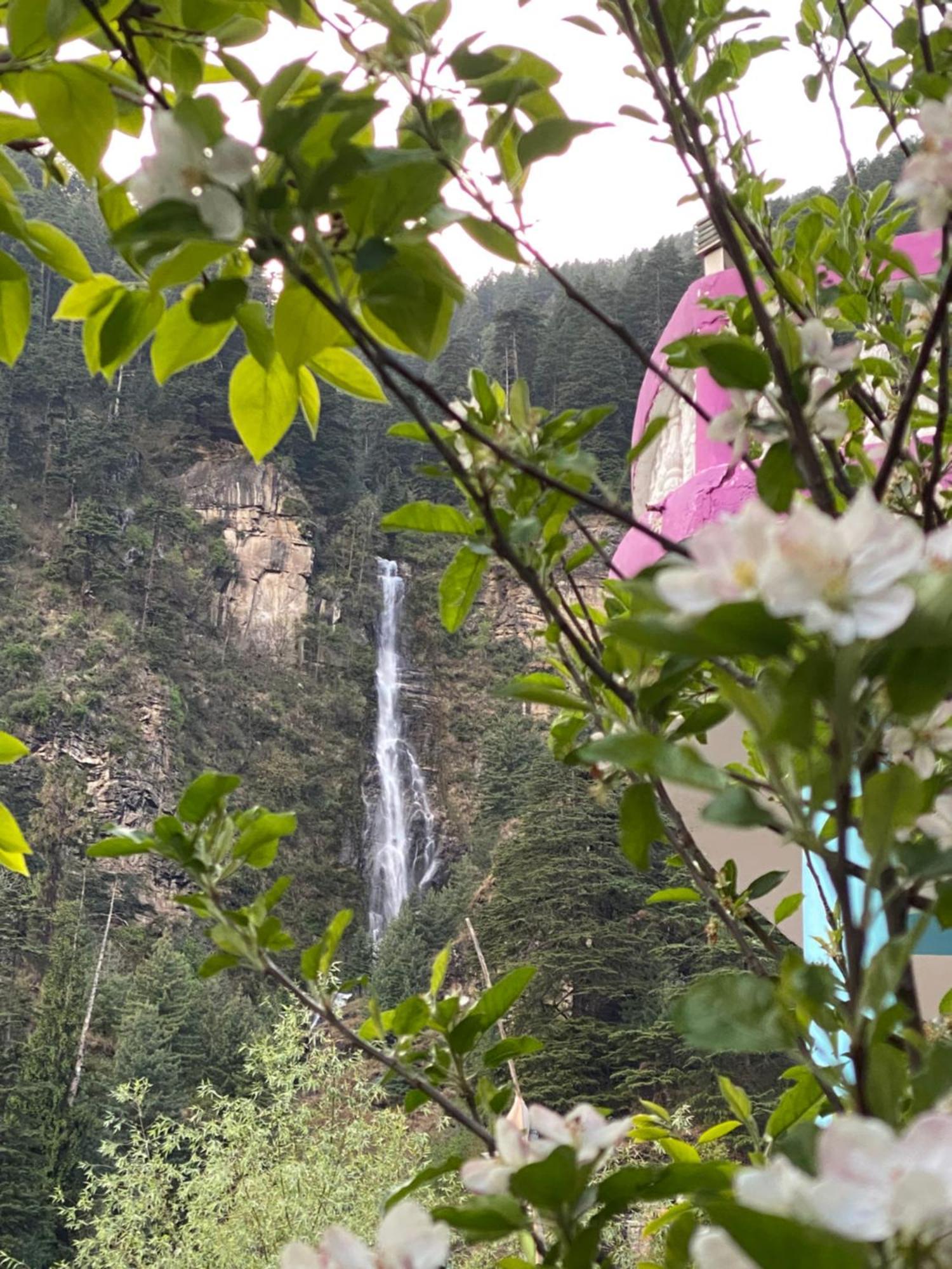Pinaki Manali (Himachal Pradesh)