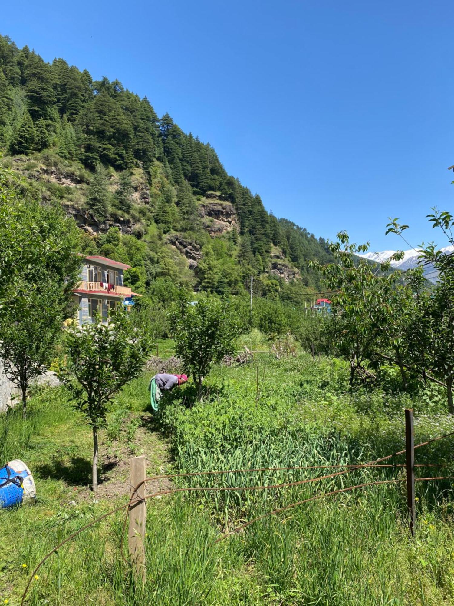 Pinaki Bed & Breakfast