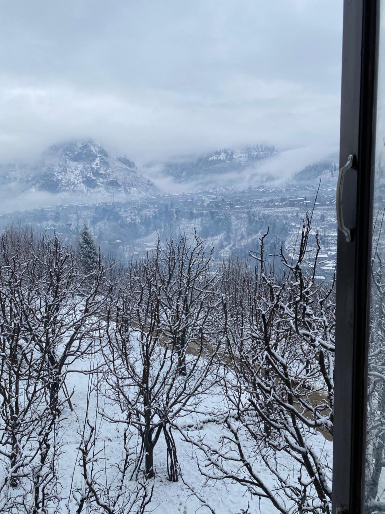 Pinaki Bed & Breakfast Manali (Himachal Pradesh)