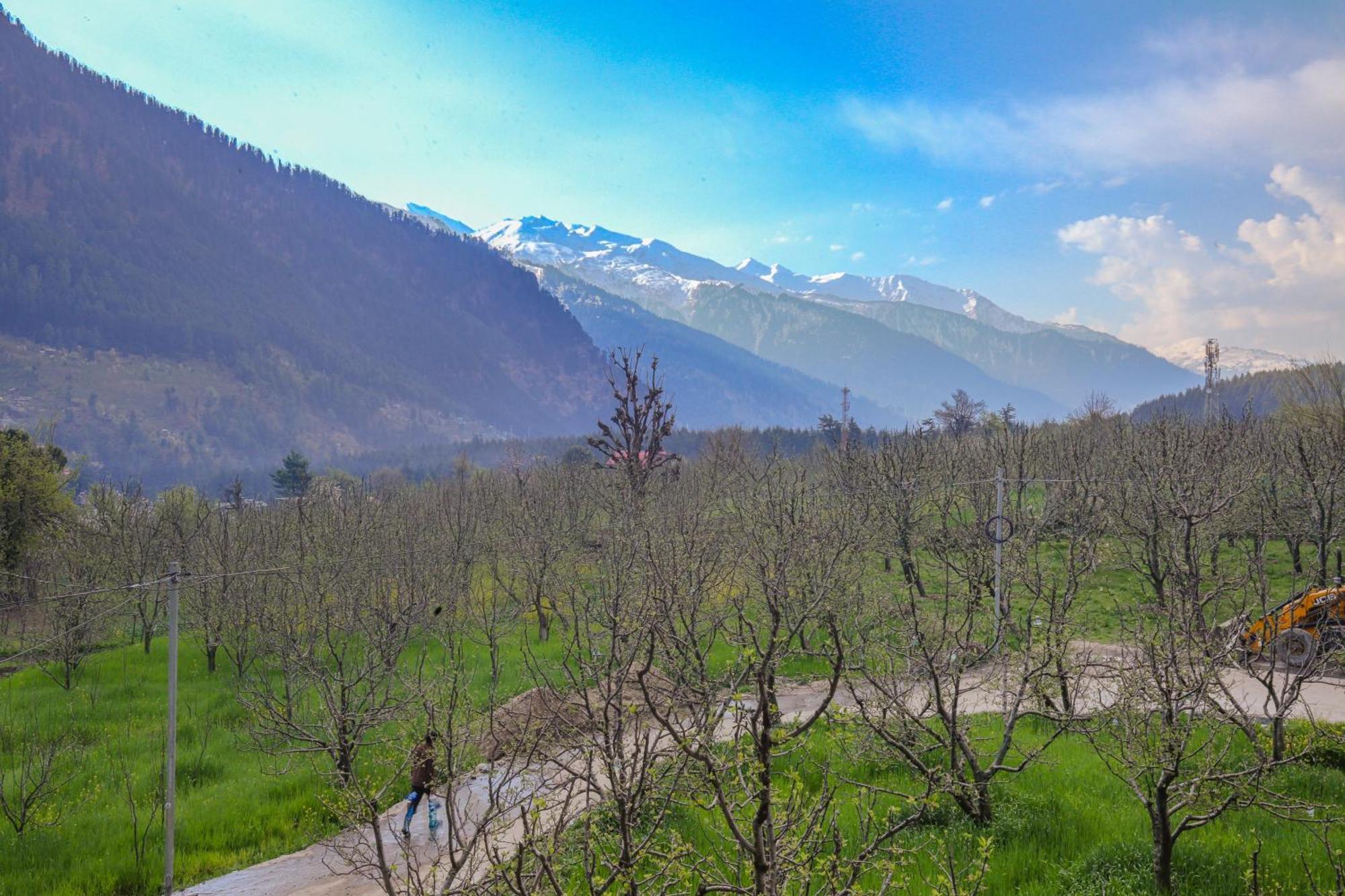 Hotel Dev Rising Heart Manali (Himachal Pradesh)