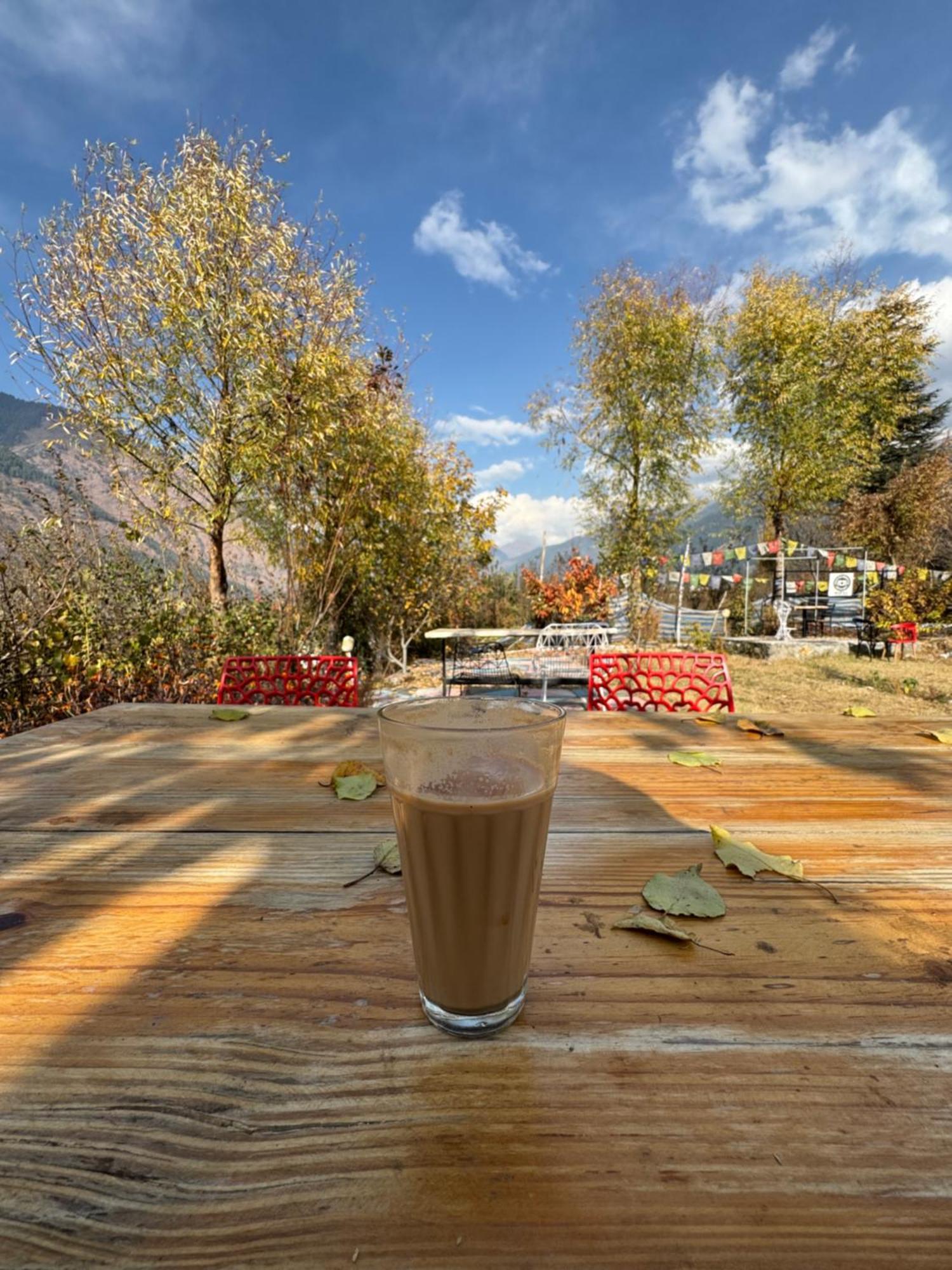 The Aesthetic Nest * Manali (Himachal Pradesh)