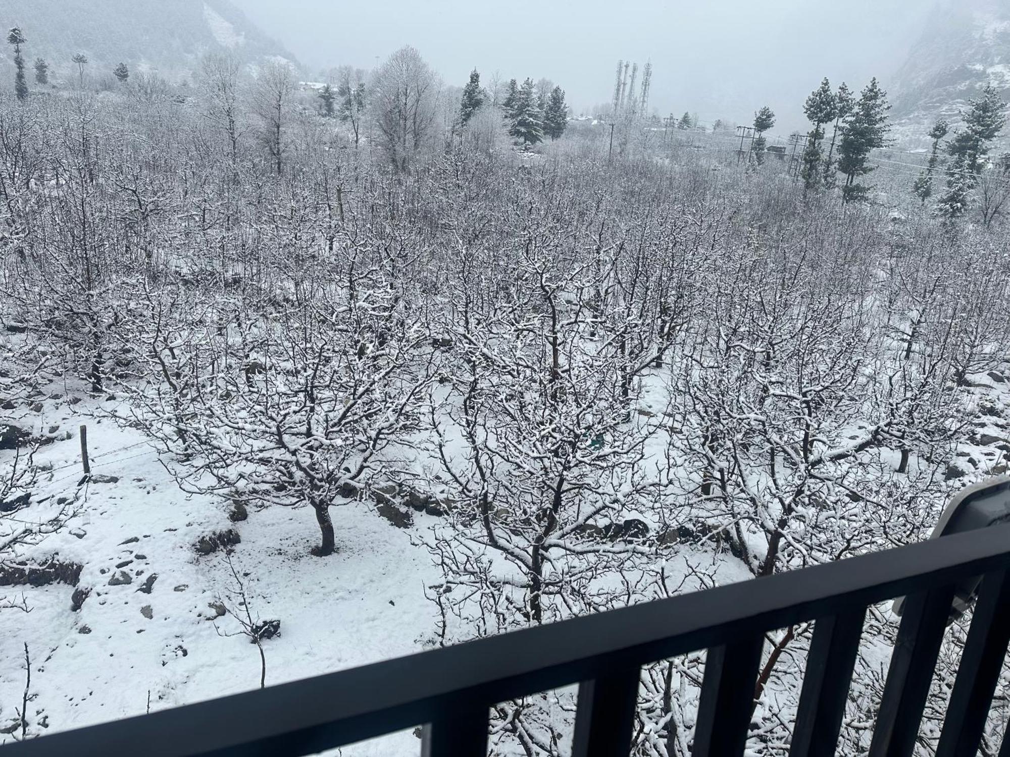 Orzu Boutique Stays Manali * Manali (Himachal Pradesh)