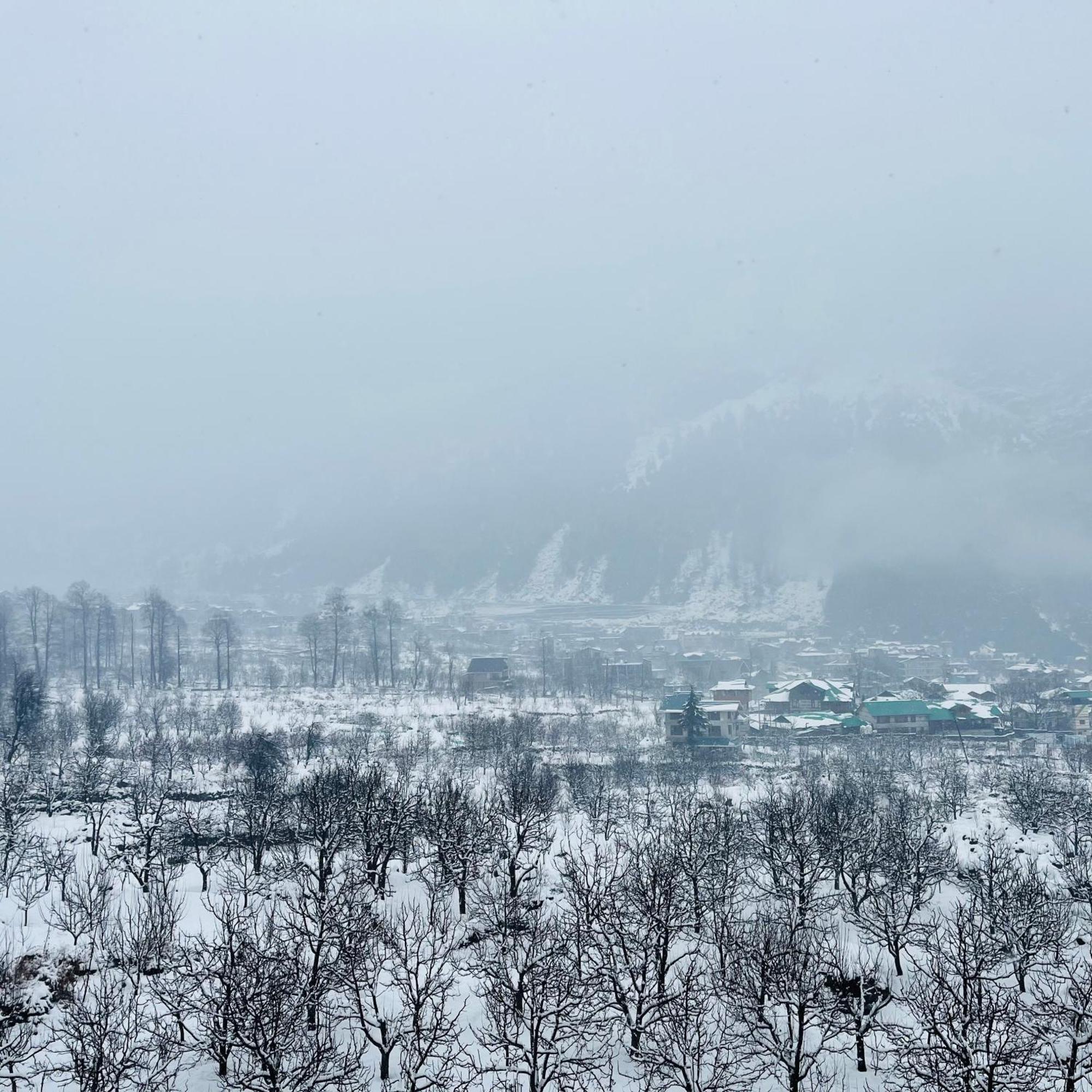 Ekaant - Homestay Manali (Himachal Pradesh)