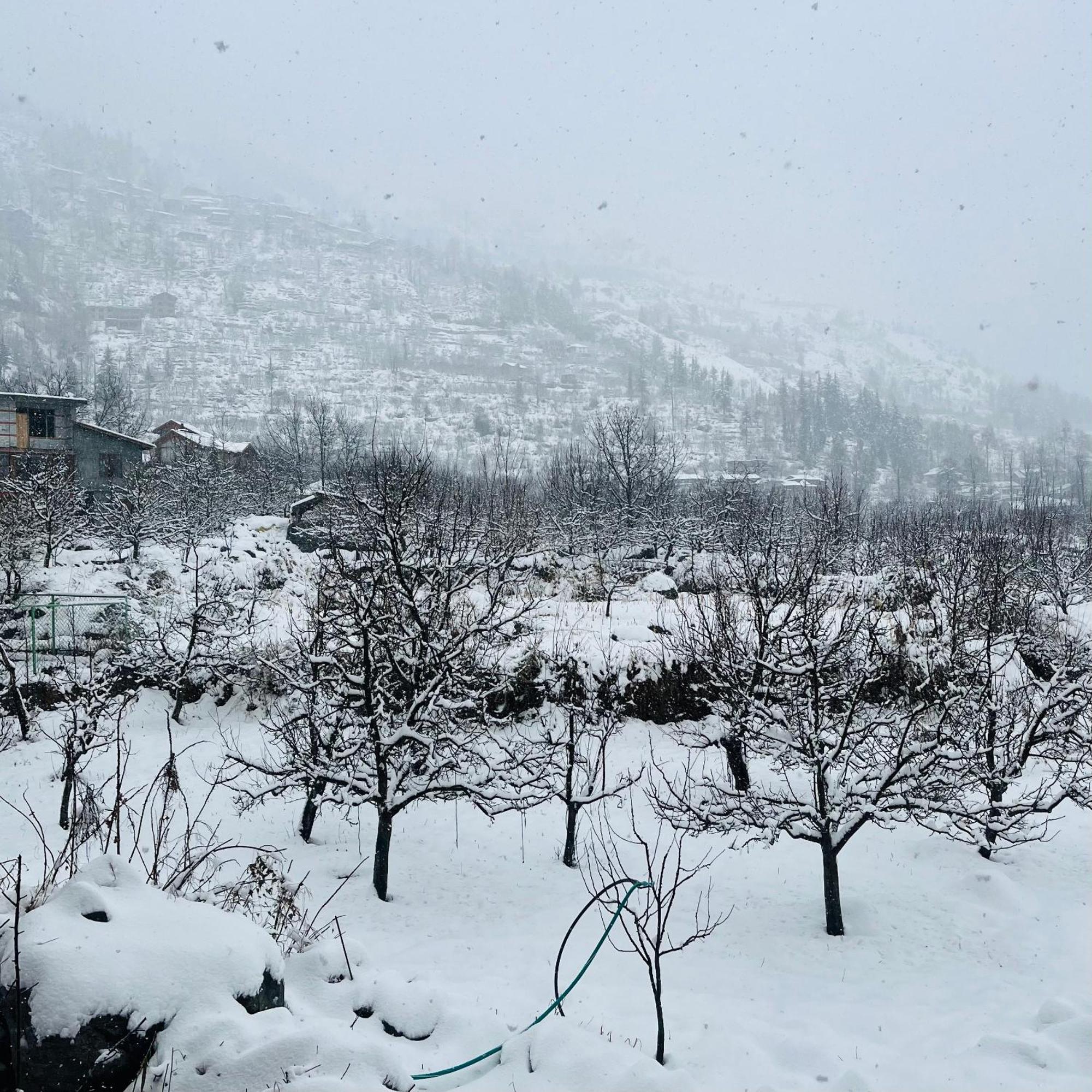 Ekaant - * Manali (Himachal Pradesh)
