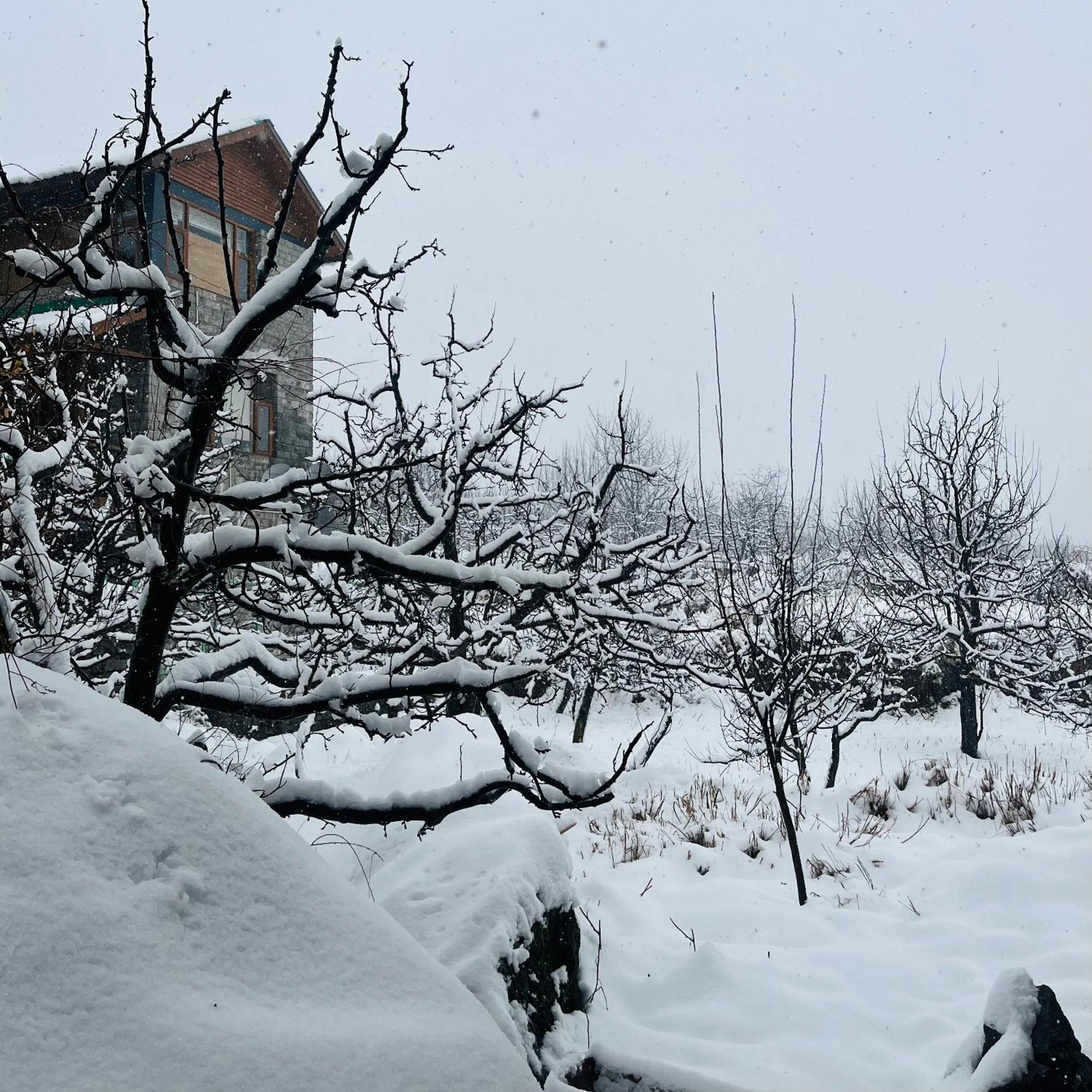 Ekaant - Homestay Manali (Himachal Pradesh)