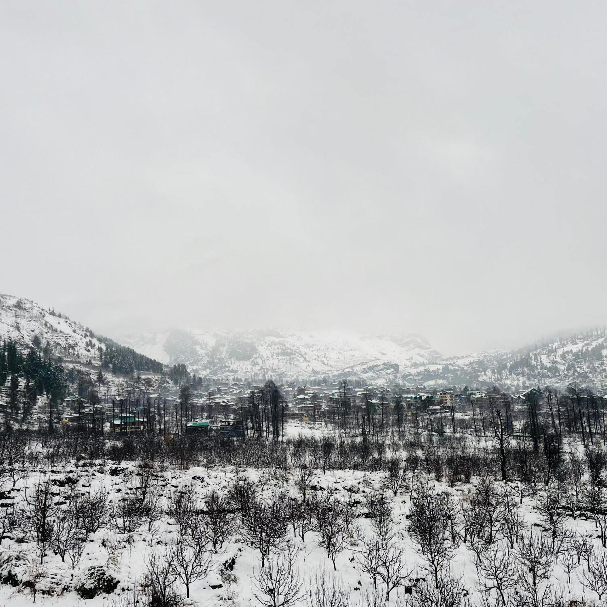 Homestay Ekaant - Manali (Himachal Pradesh)