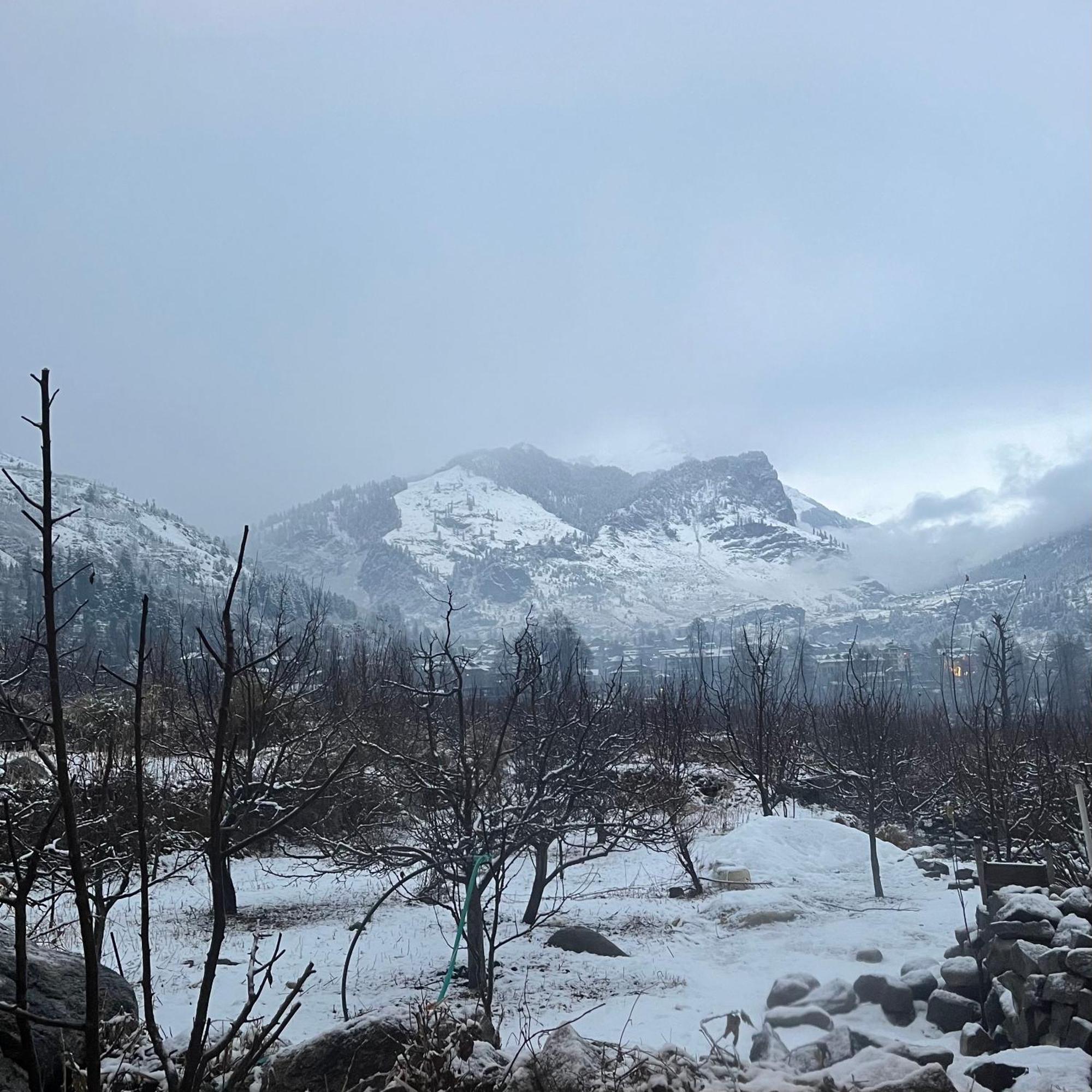 Homestay Ekaant - Manali (Himachal Pradesh)