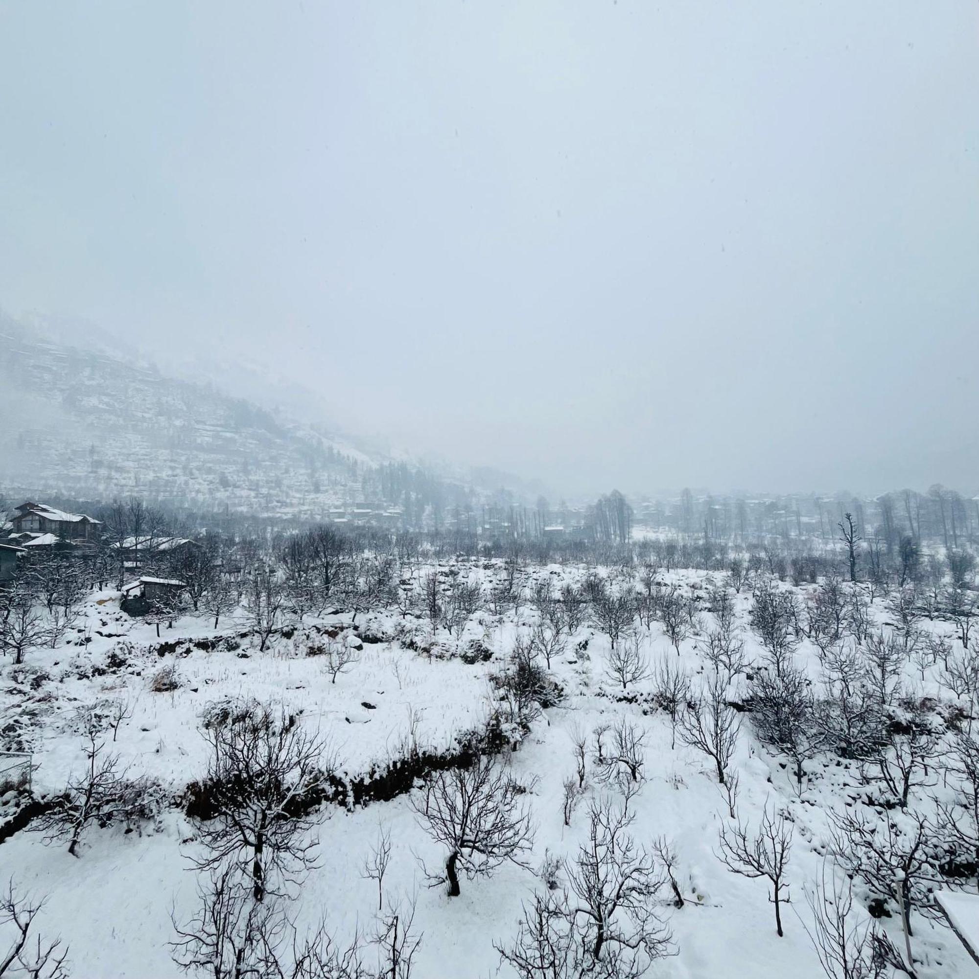 Ekaant - * Manali (Himachal Pradesh)
