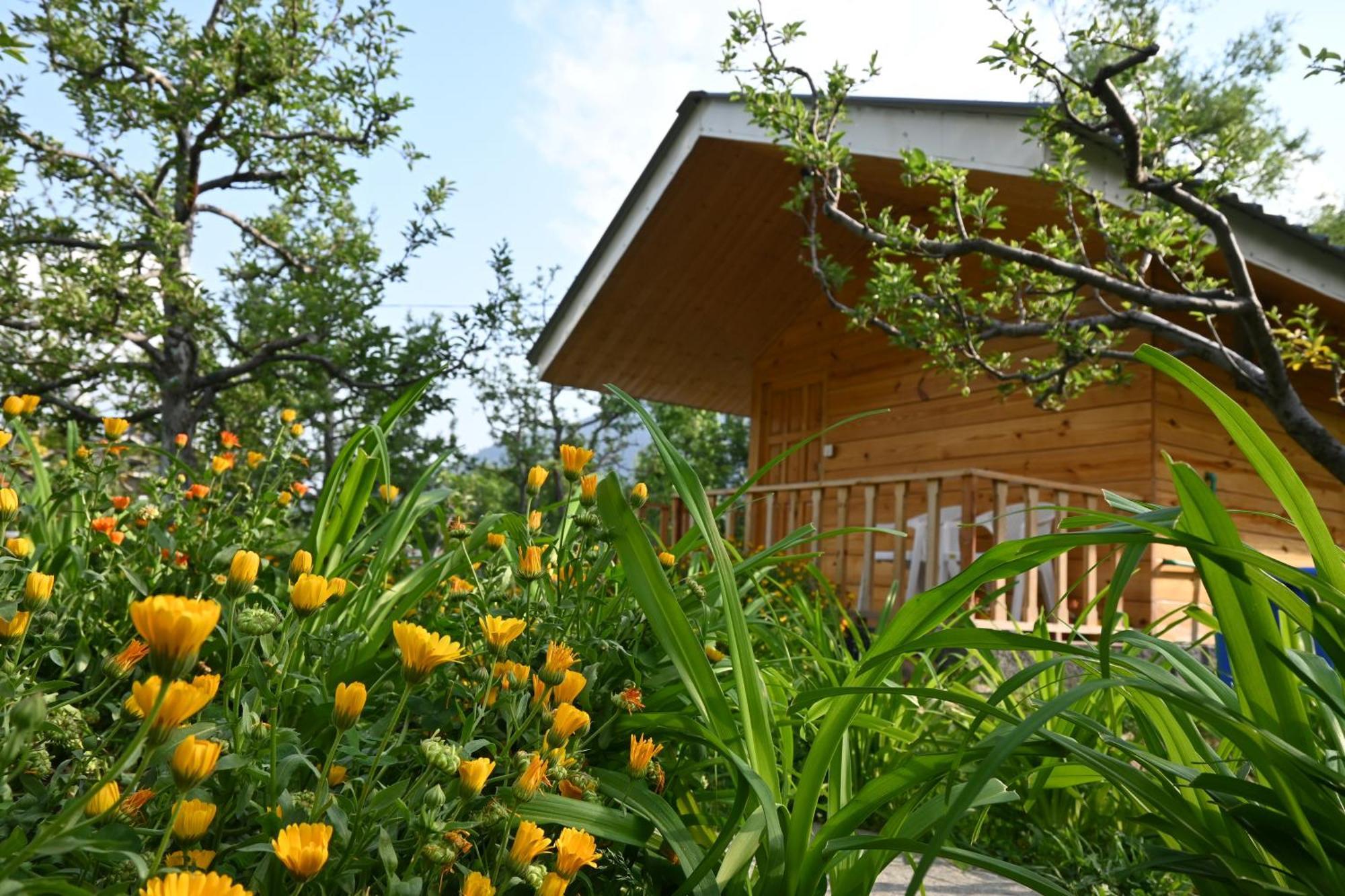 Cascade Mountain Retreat
