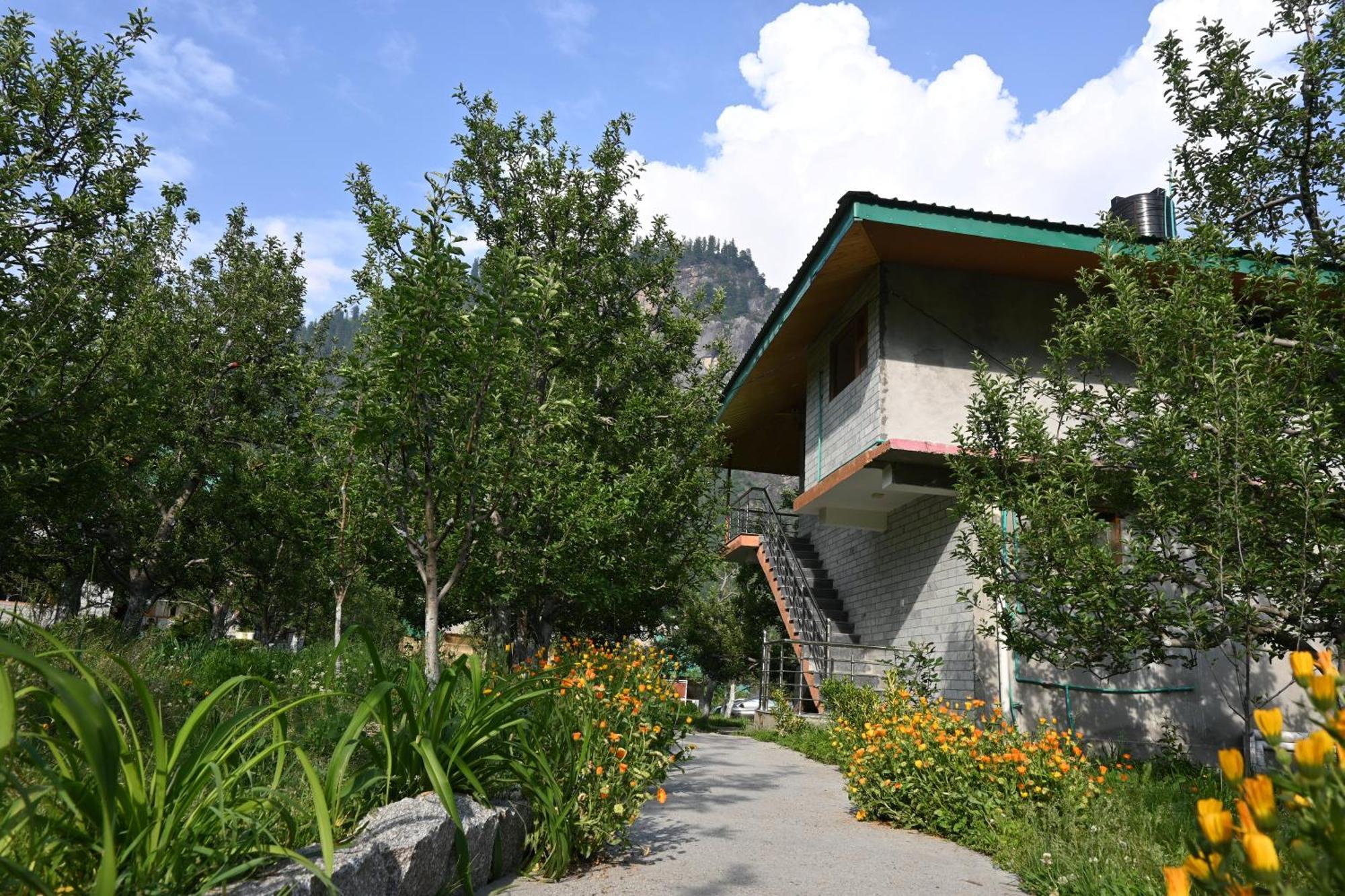 Bed & Breakfast Cascade Mountain Retreat 3*