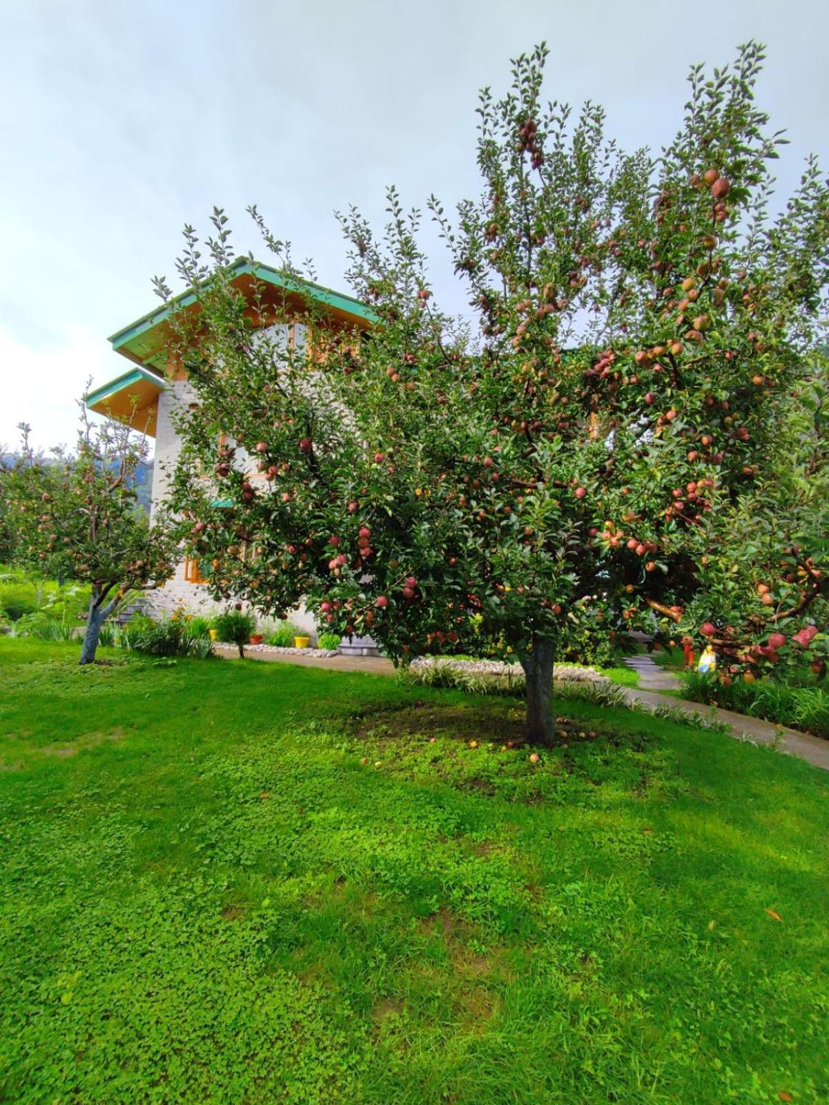 Cascade Mountain Retreat Bed & Breakfast Manali (Himachal Pradesh)