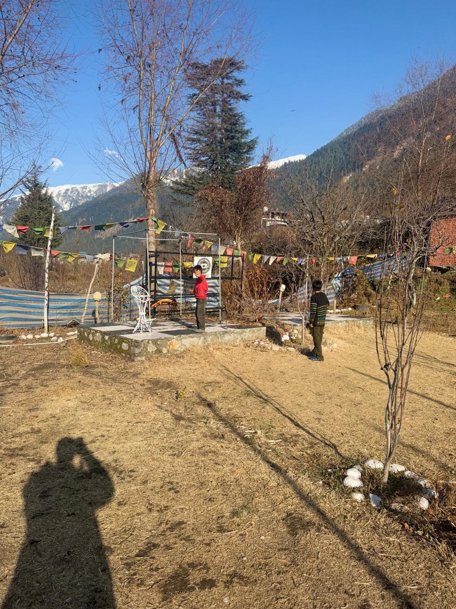 The Aesthetic Nest * Manali (Himachal Pradesh)