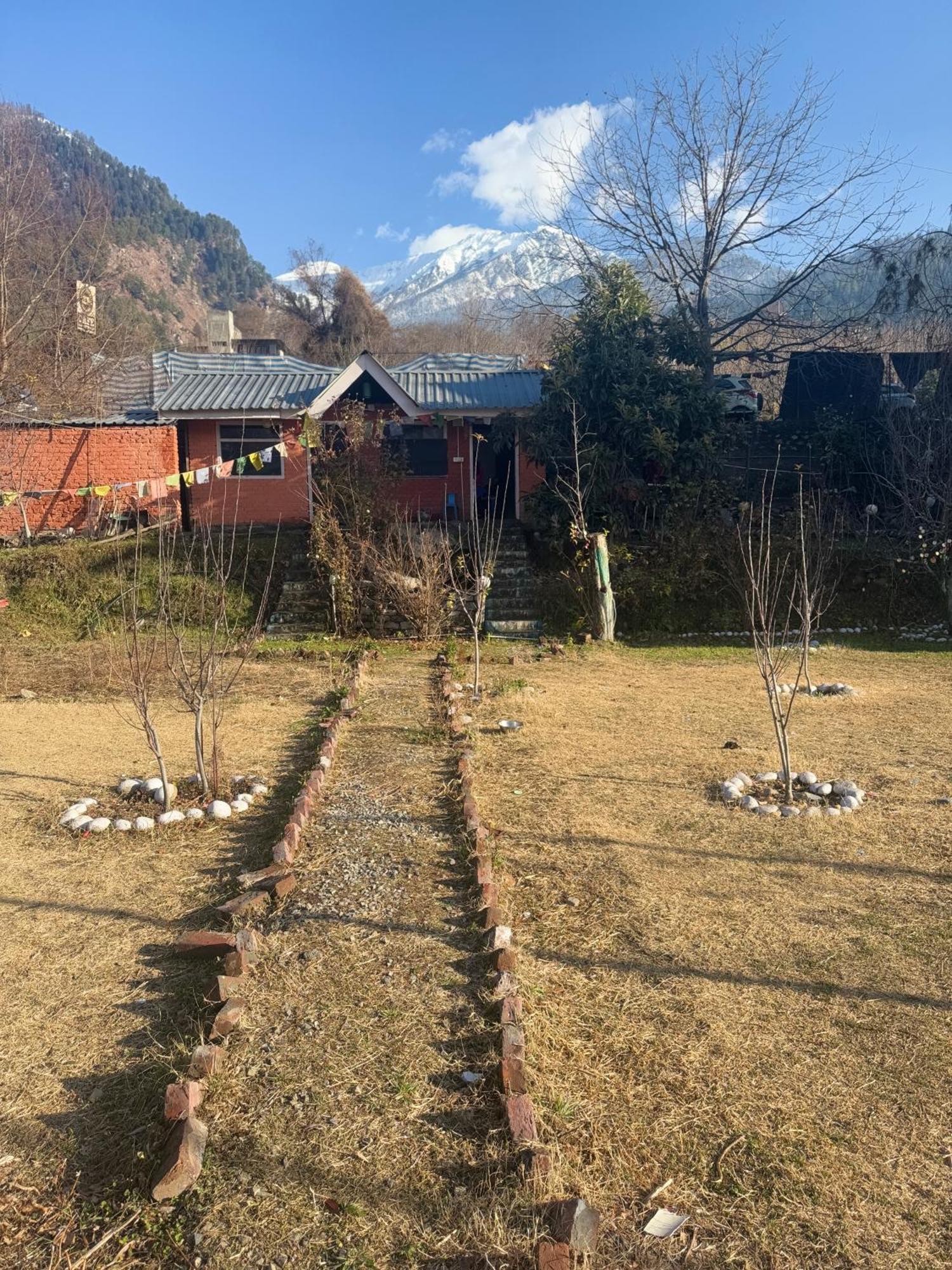 The Aesthetic Nest * Manali (Himachal Pradesh)