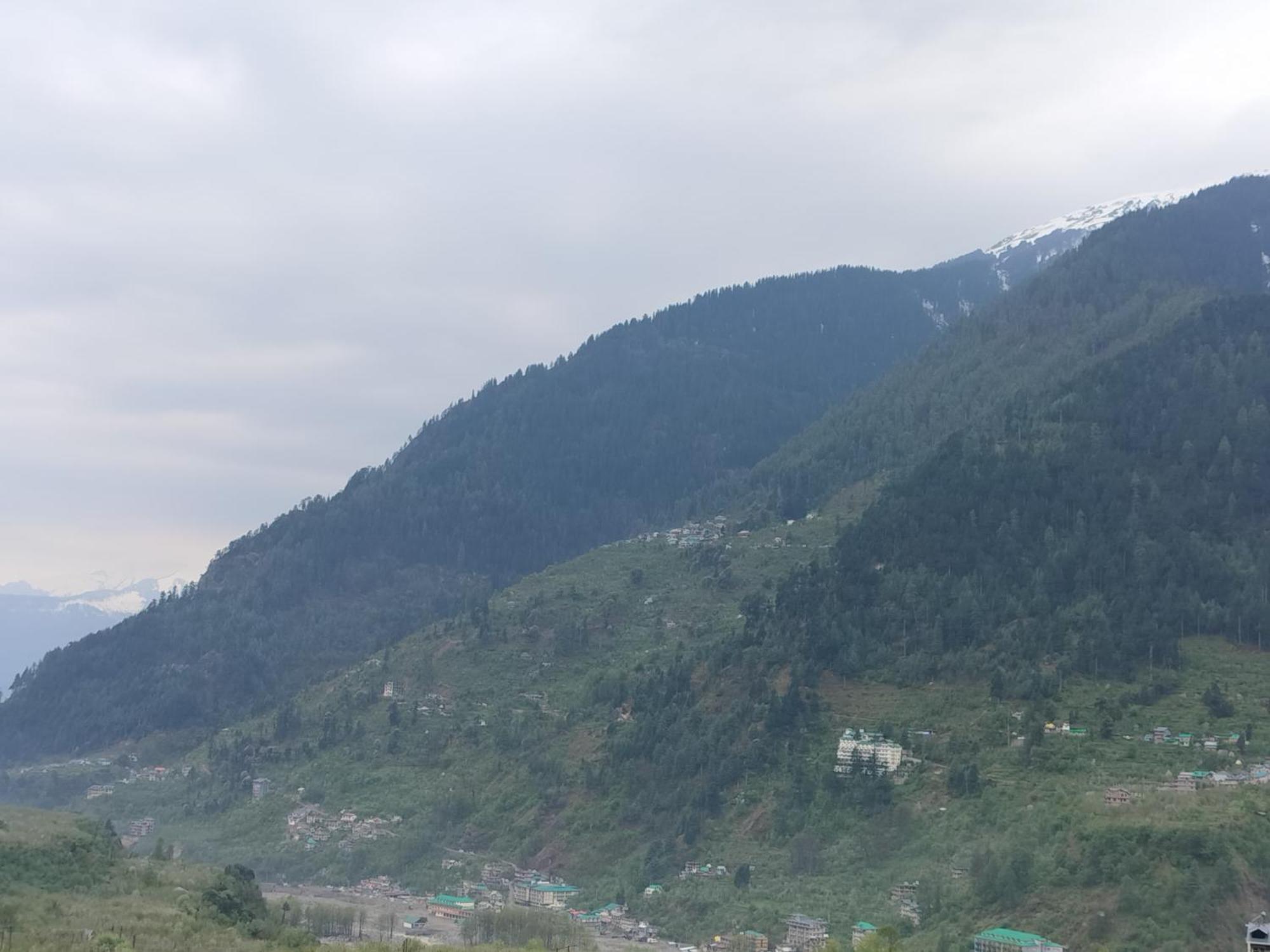 Sakura Palace Manali (Himachal Pradesh)