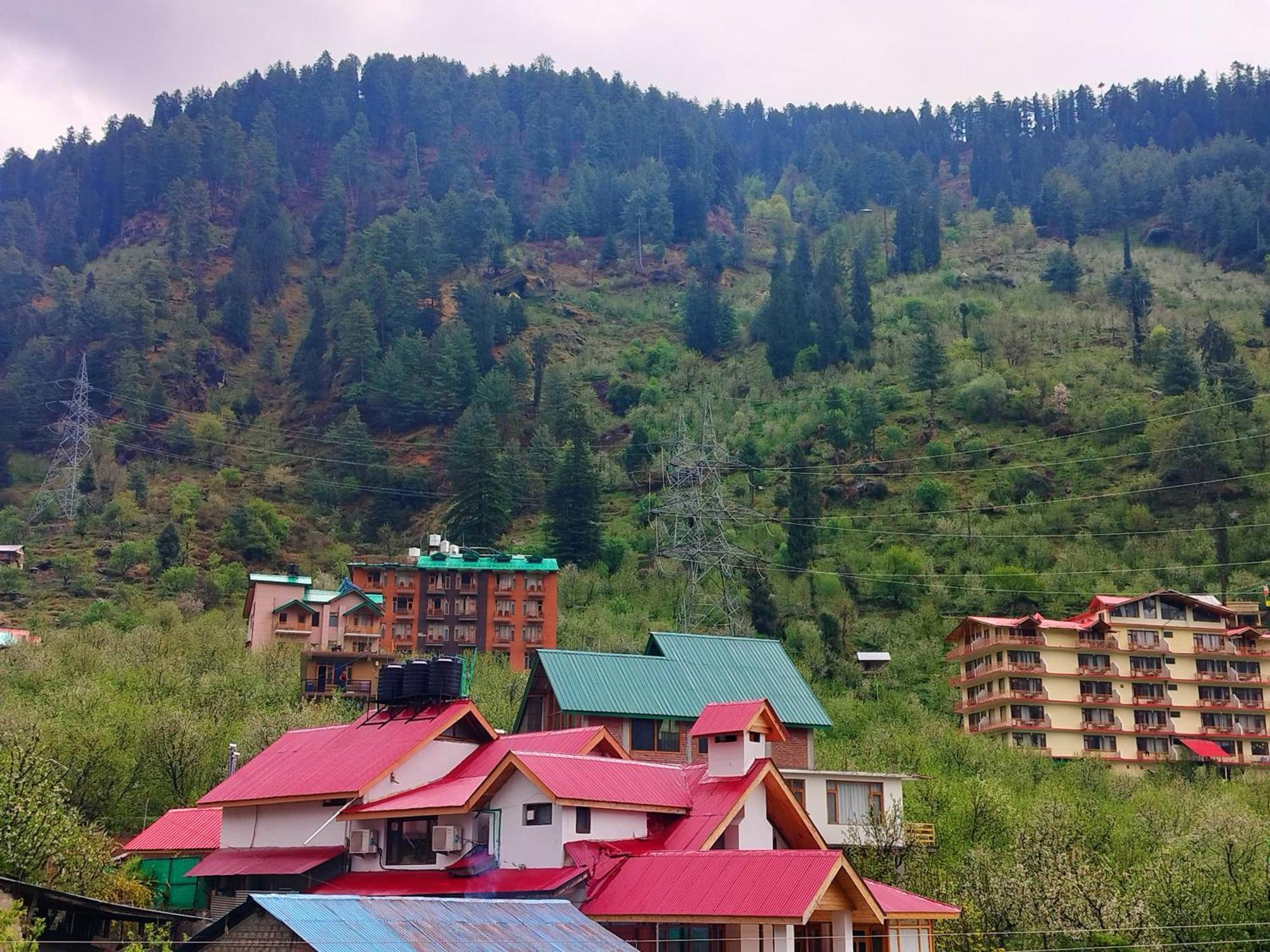 Sakura Palace 3* Manali (Himachal Pradesh)
