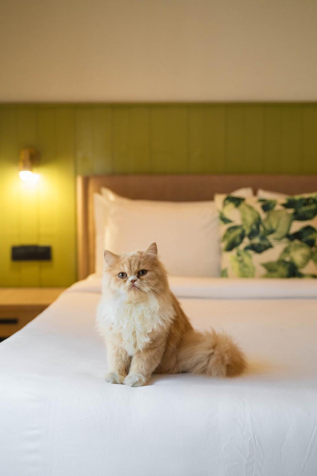 Standout Hotel 3*