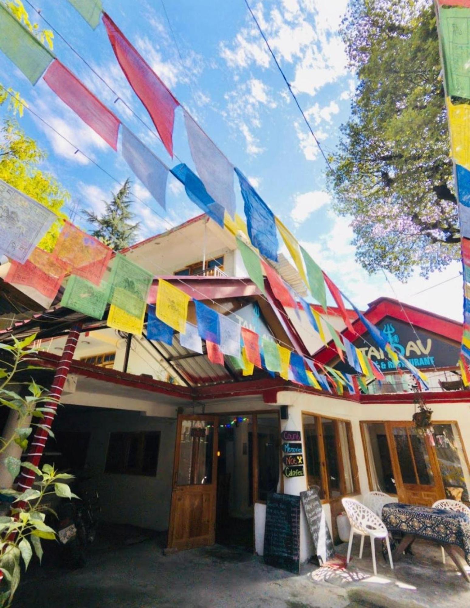 The Boho Bed & Breakfast