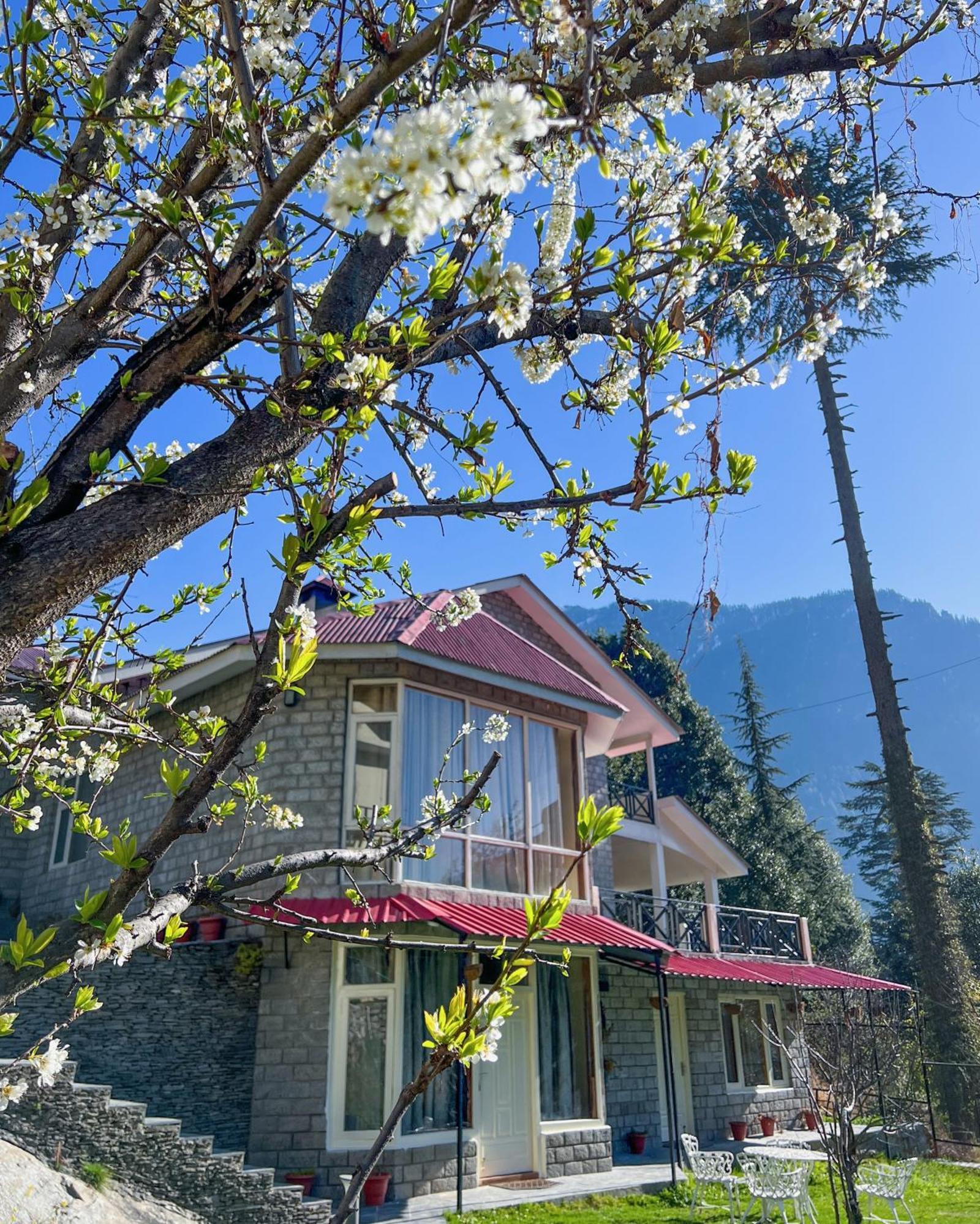 The Forestbound Manali (Himachal Pradesh)