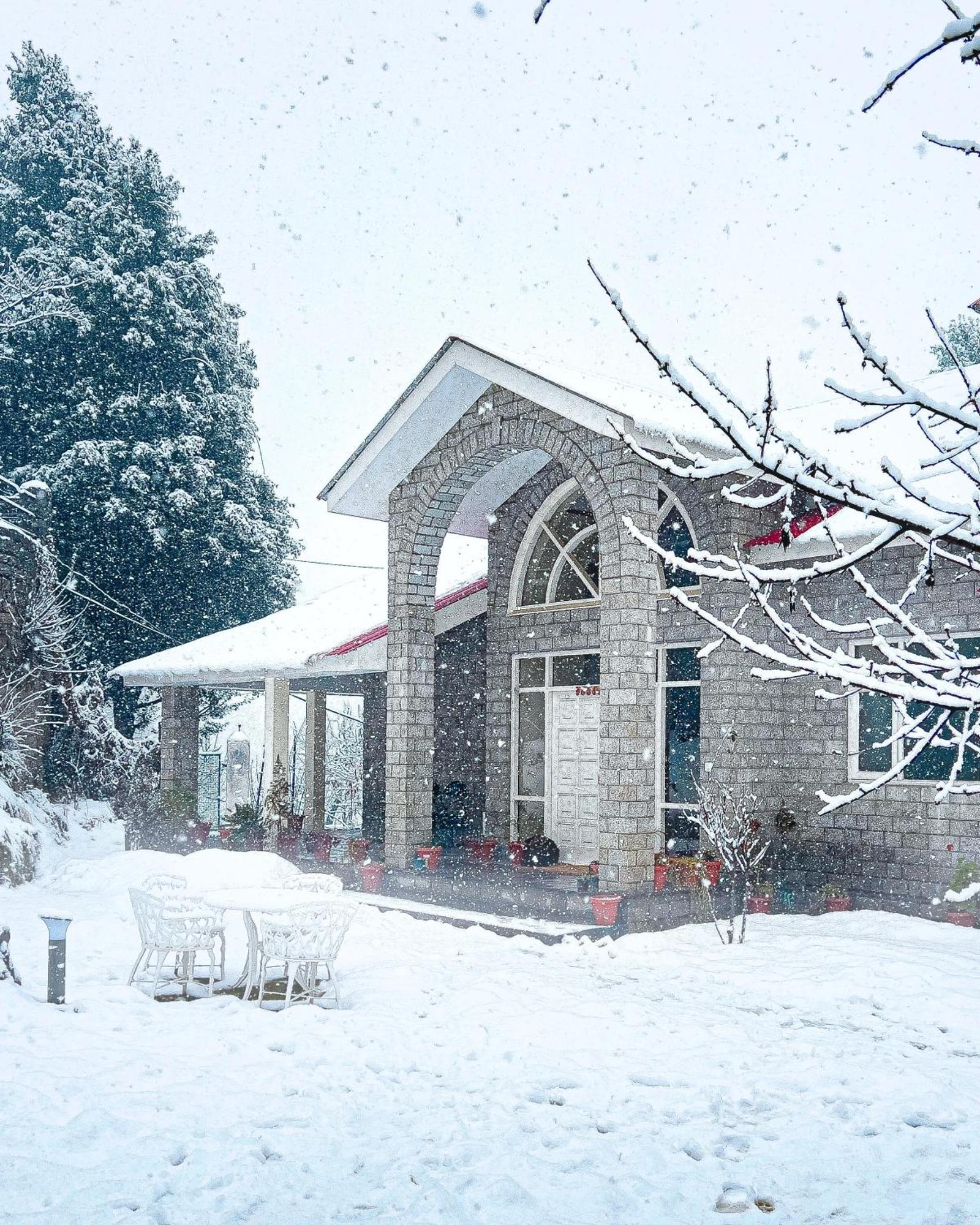 Lodge The Forestbound