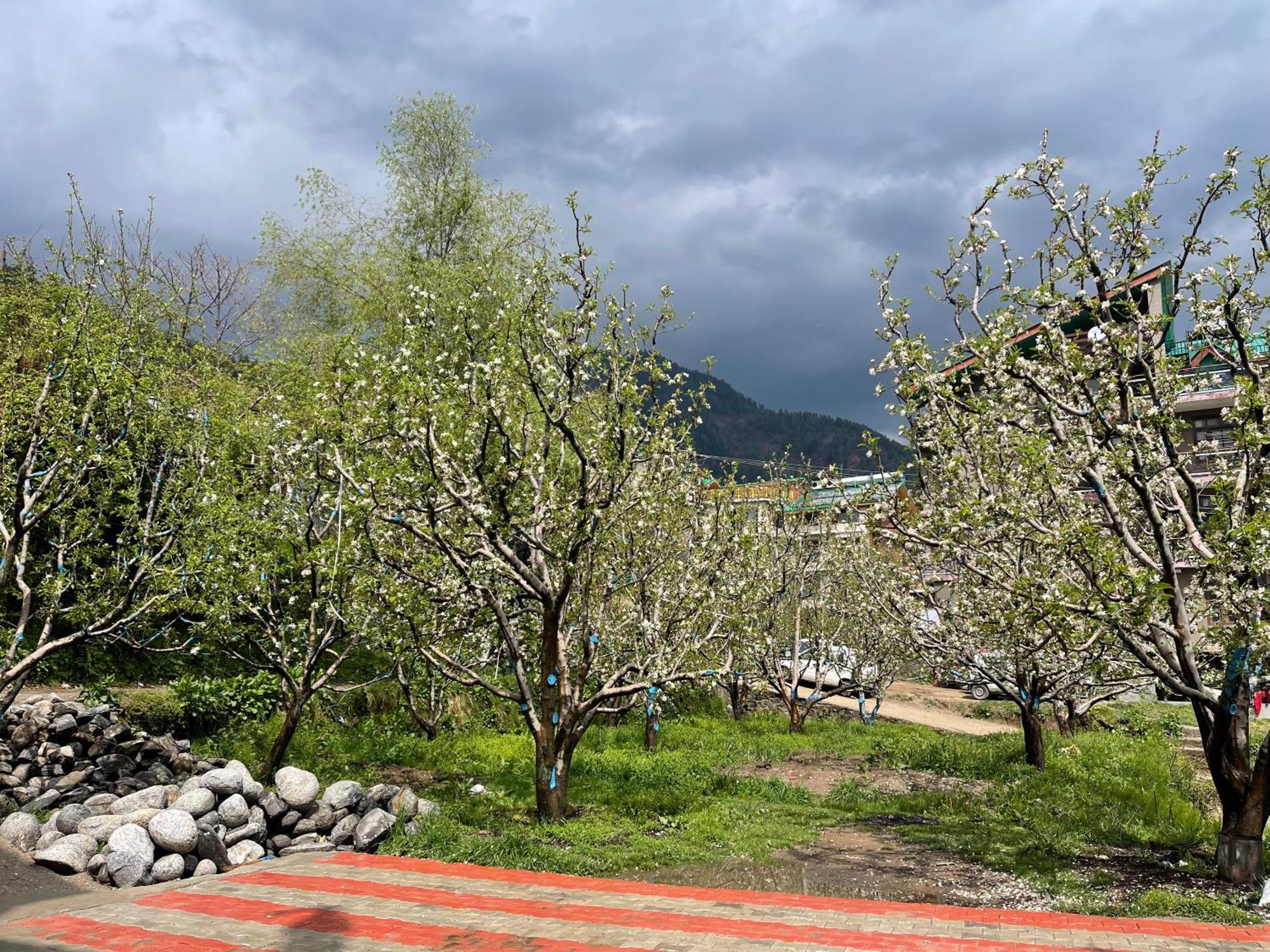 Shubham Hotel Manali (Himachal Pradesh)