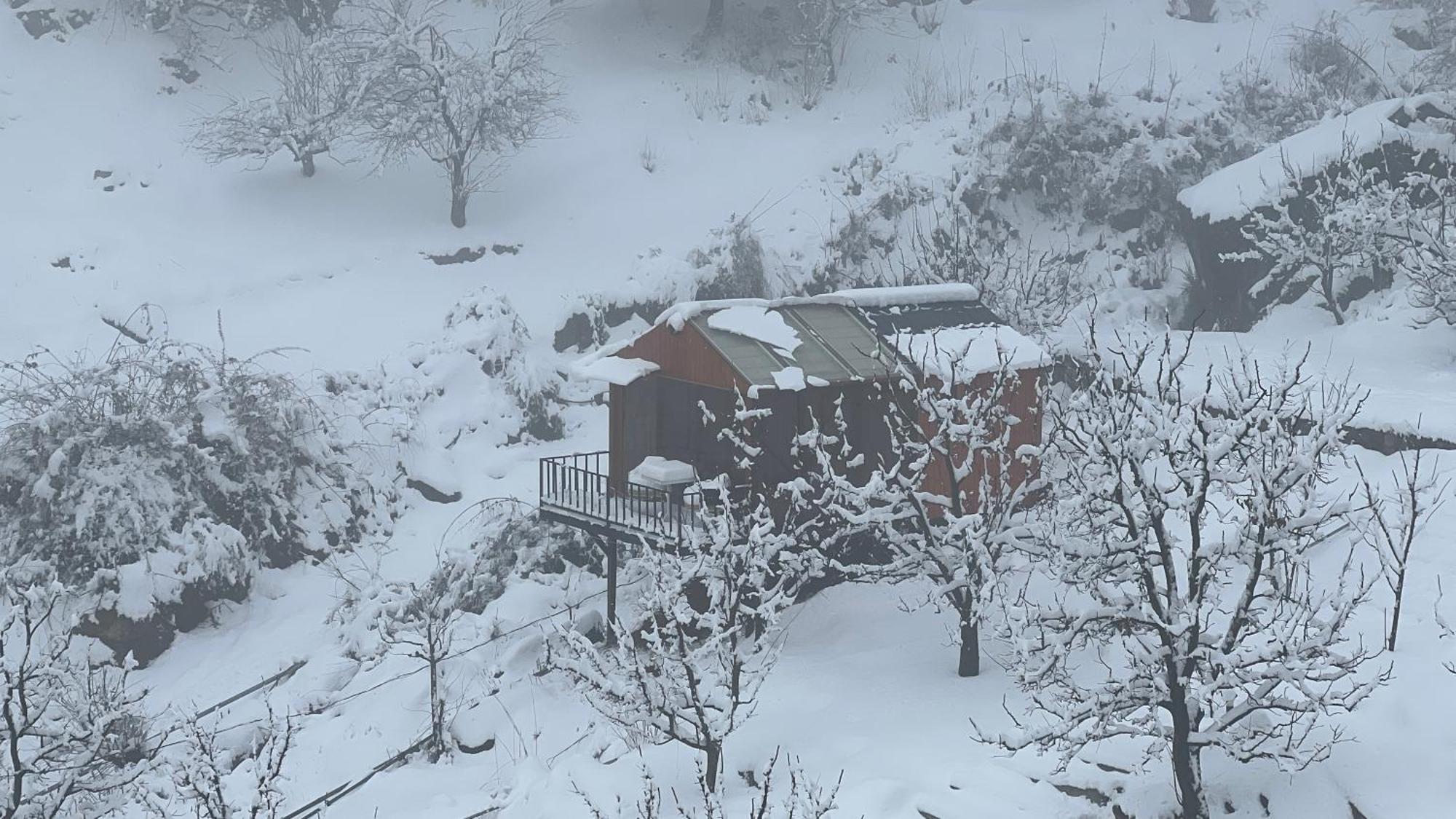 Resort Glass By Urban Monk- Unique Centrally Heated With Electric Blankets Manali (Himachal Pradesh)