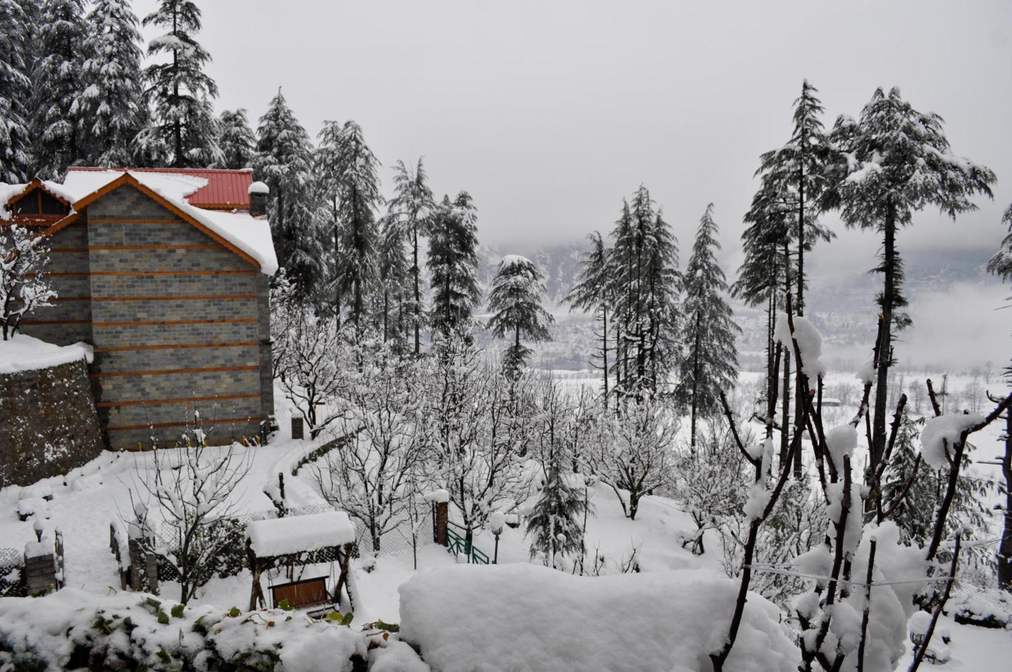 Pause By The Woods 3* Manali (Himachal Pradesh)